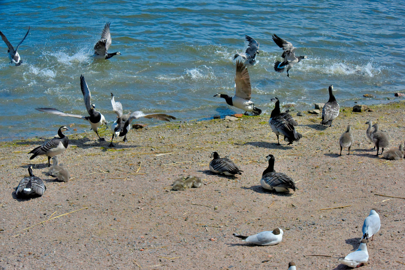 Valokuvaaja: Reijo Juurinen