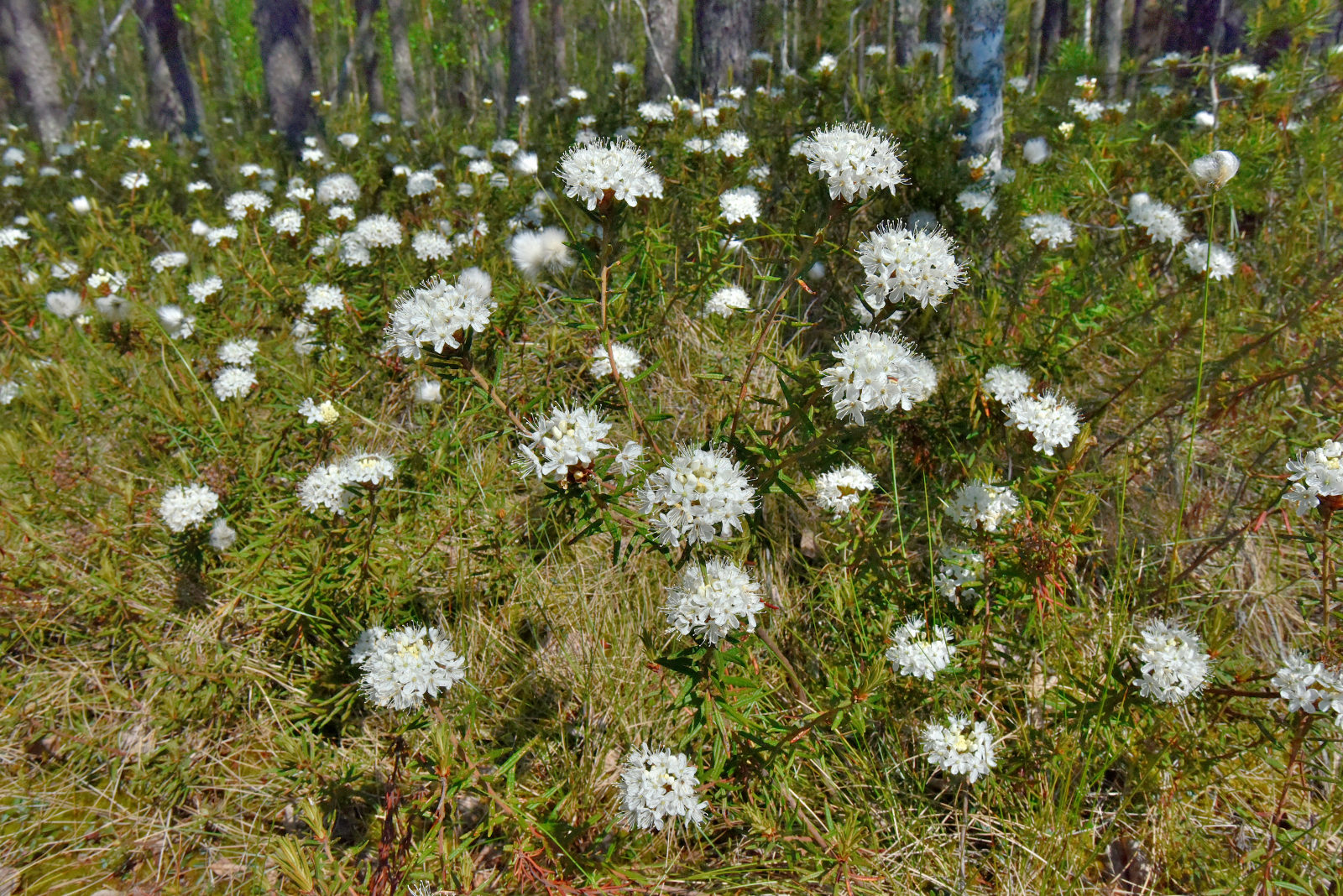 Valokuvaaja: Reijo Juurinen