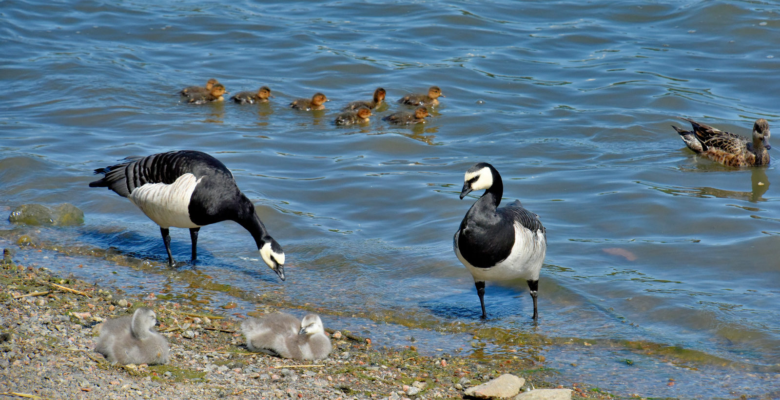 Valokuvaaja: Reijo Juurinen