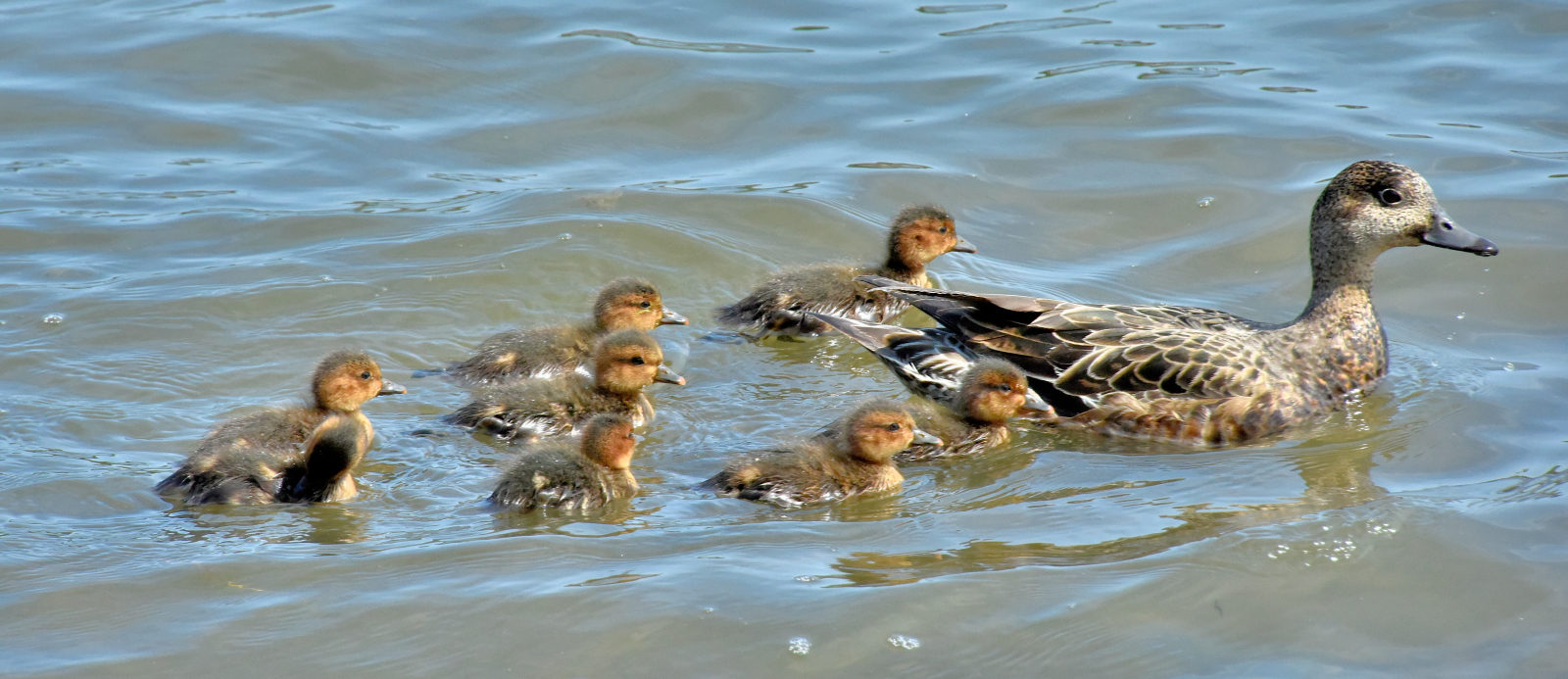Valokuvaaja: Reijo Juurinen