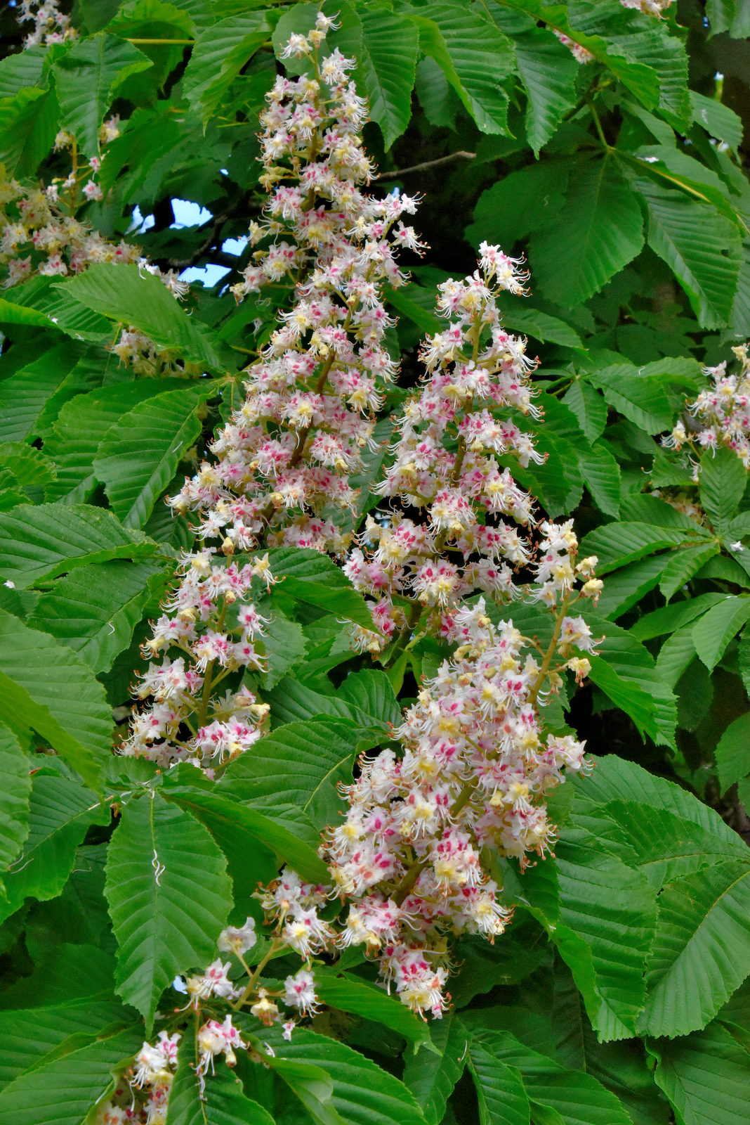 Valokuvaaja: Reijo Juurinen