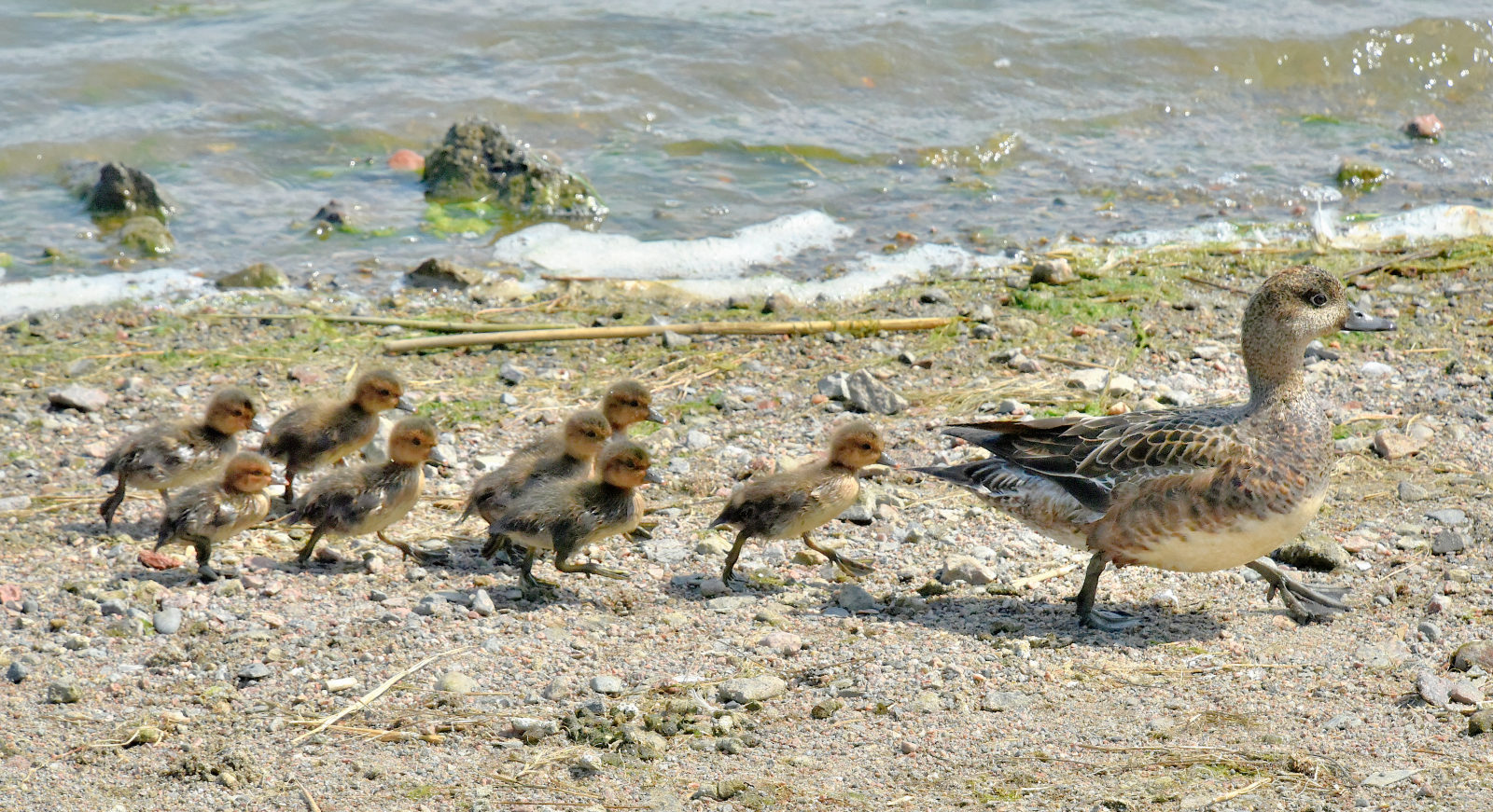 Valokuvaaja: Reijo Juurinen