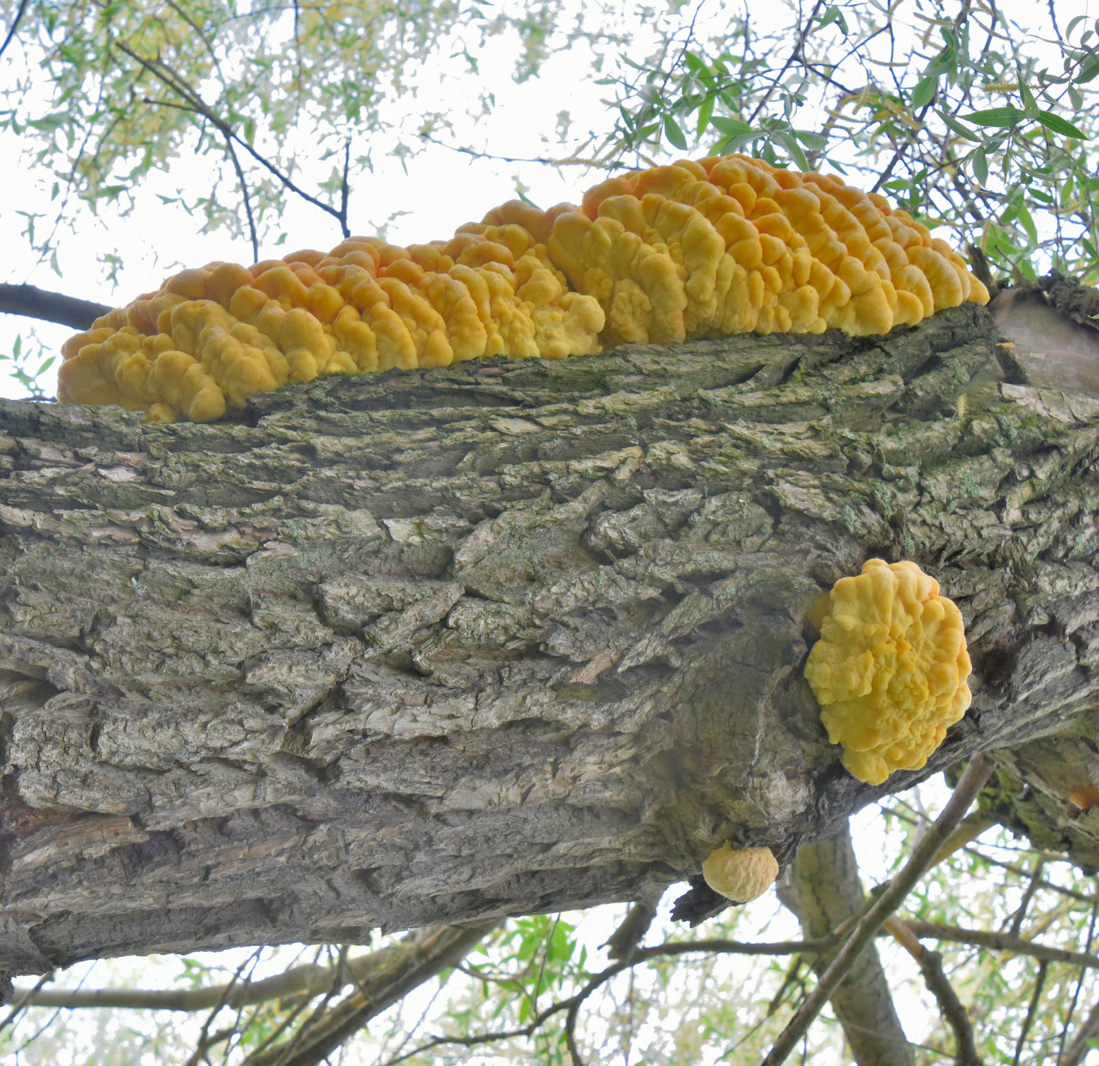 Valokuvaaja: Reijo Juurinen