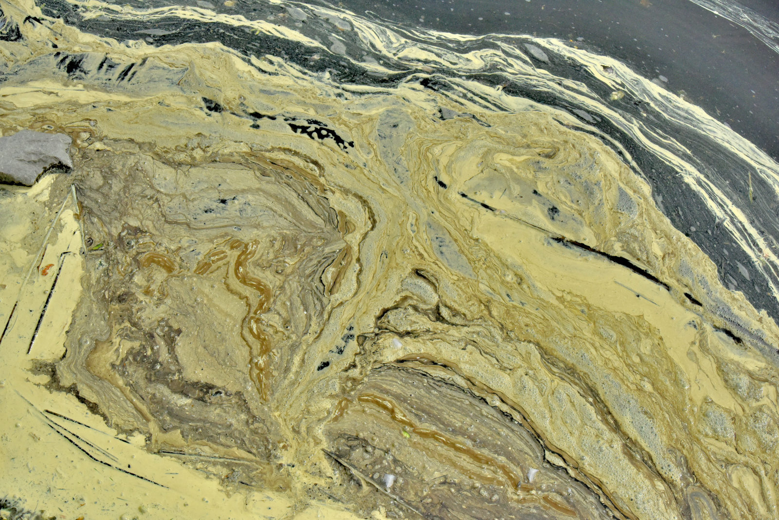 Valokuvaaja: Reijo Juurinen