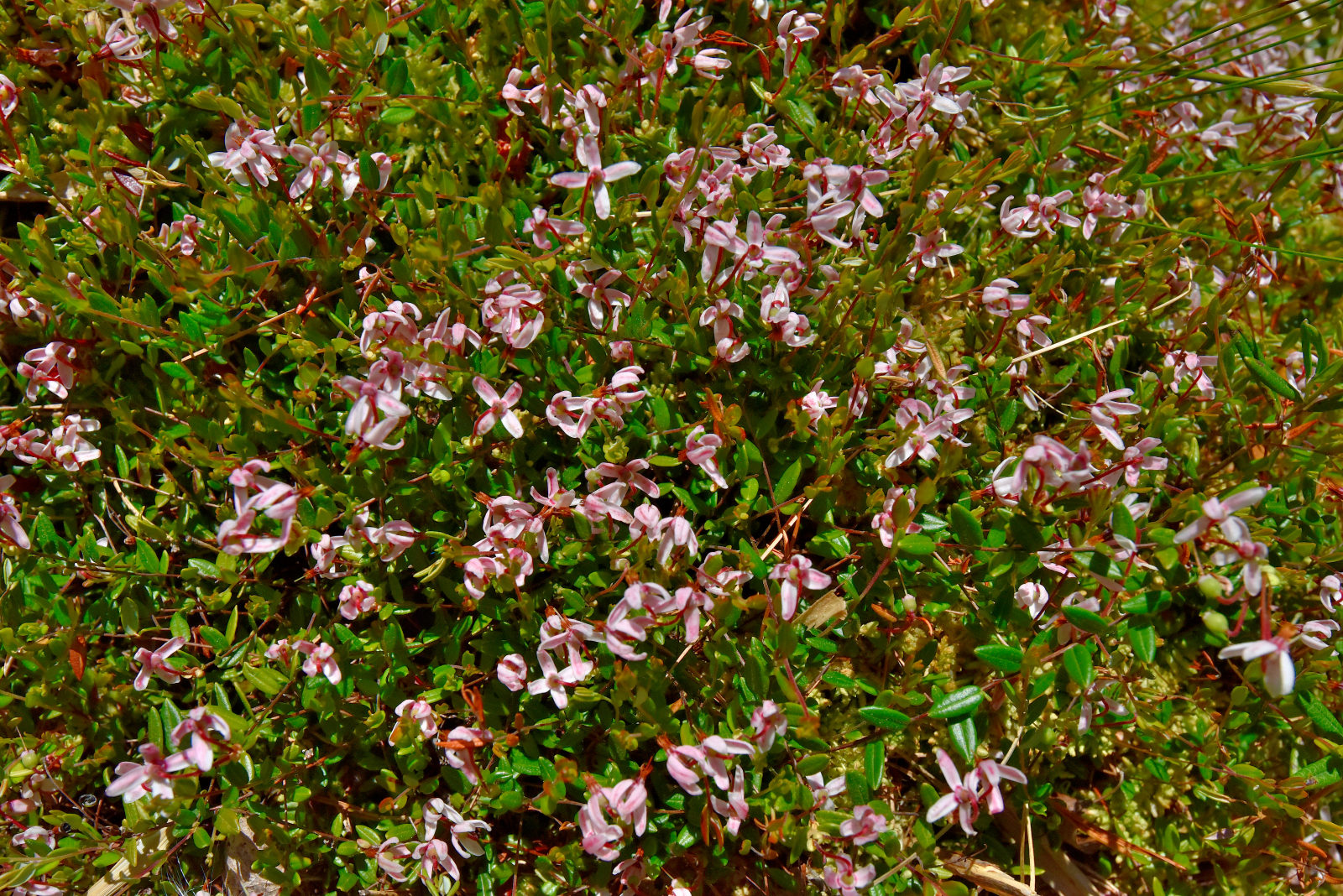 Valokuvaaja: Reijo Juurinen