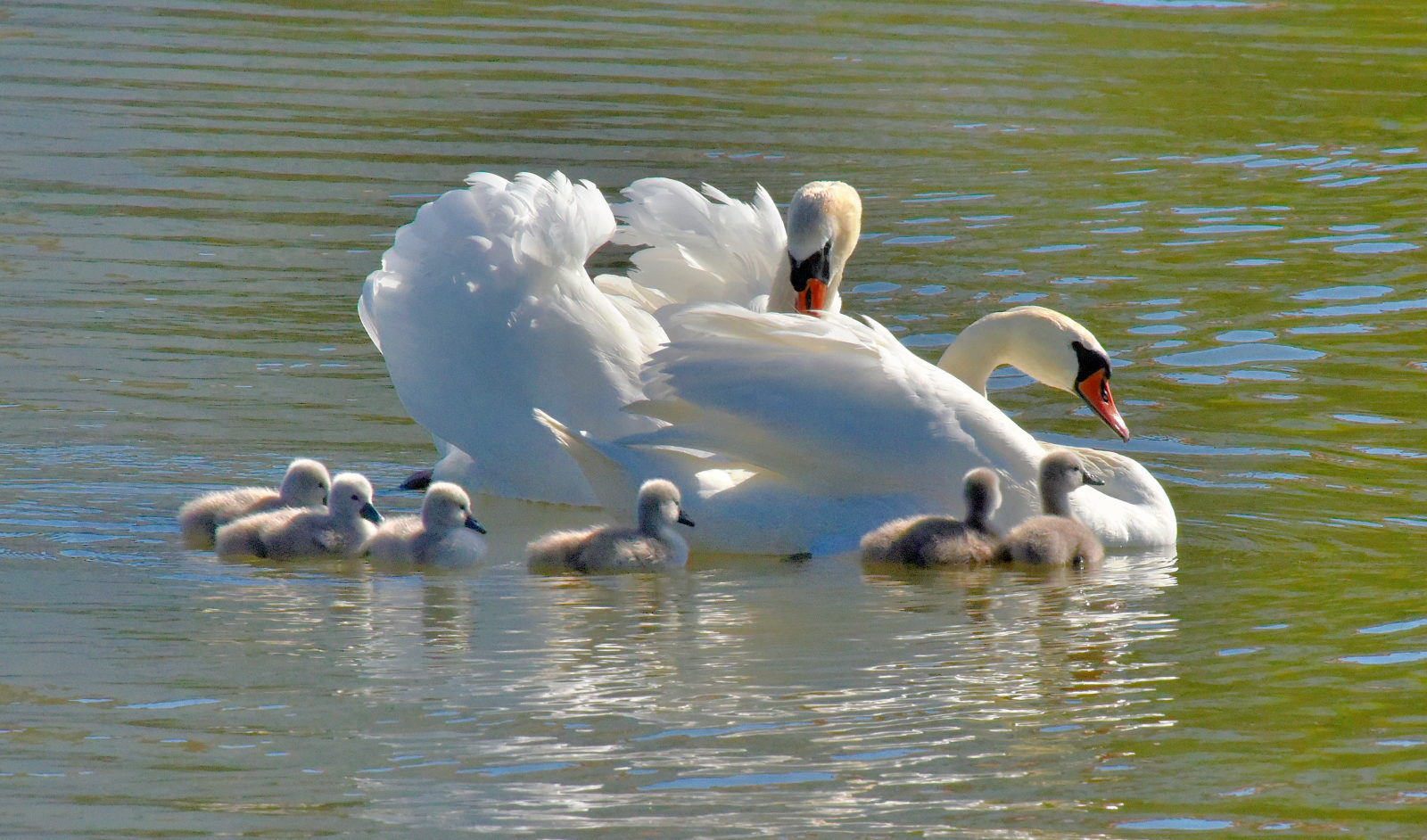 Valokuvaaja: Reijo Juurinen