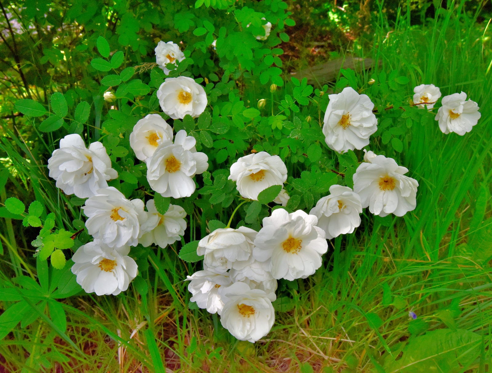 Valokuvaaja: Reijo Juurinen