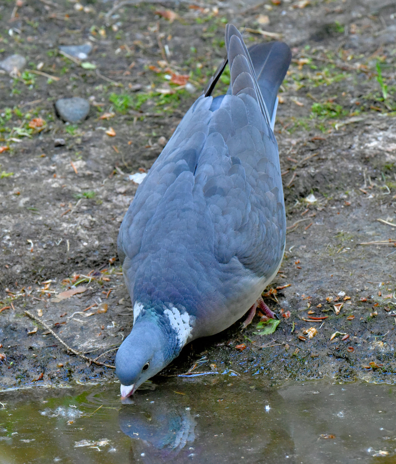 Valokuvaaja: Reijo Juurinen