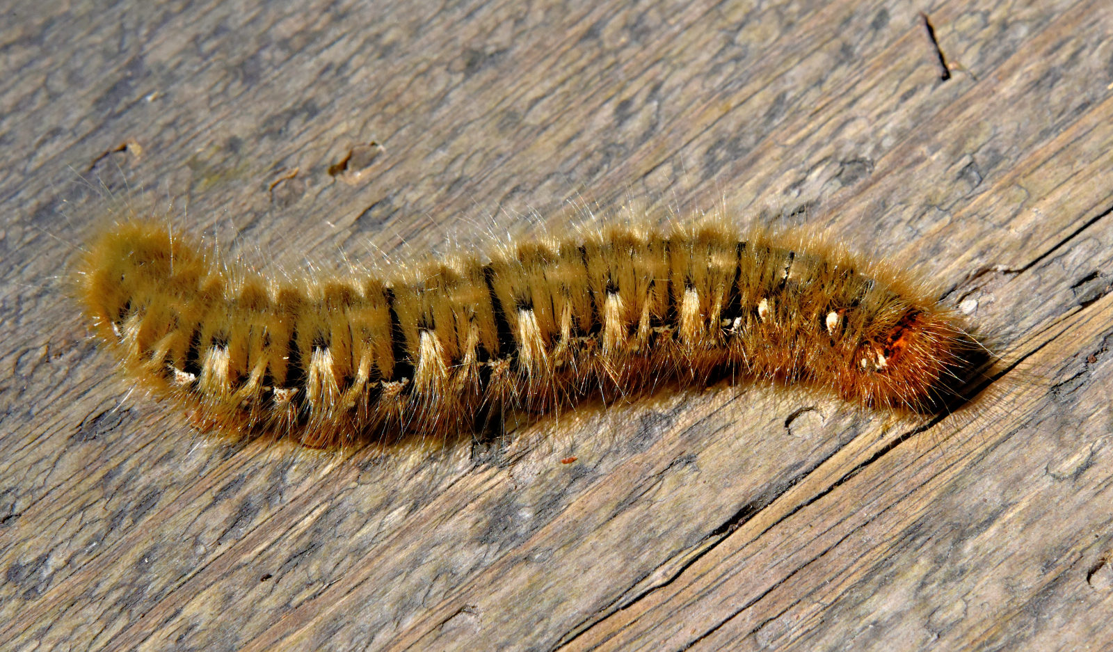 Valokuvaaja: Reijo Juurinen