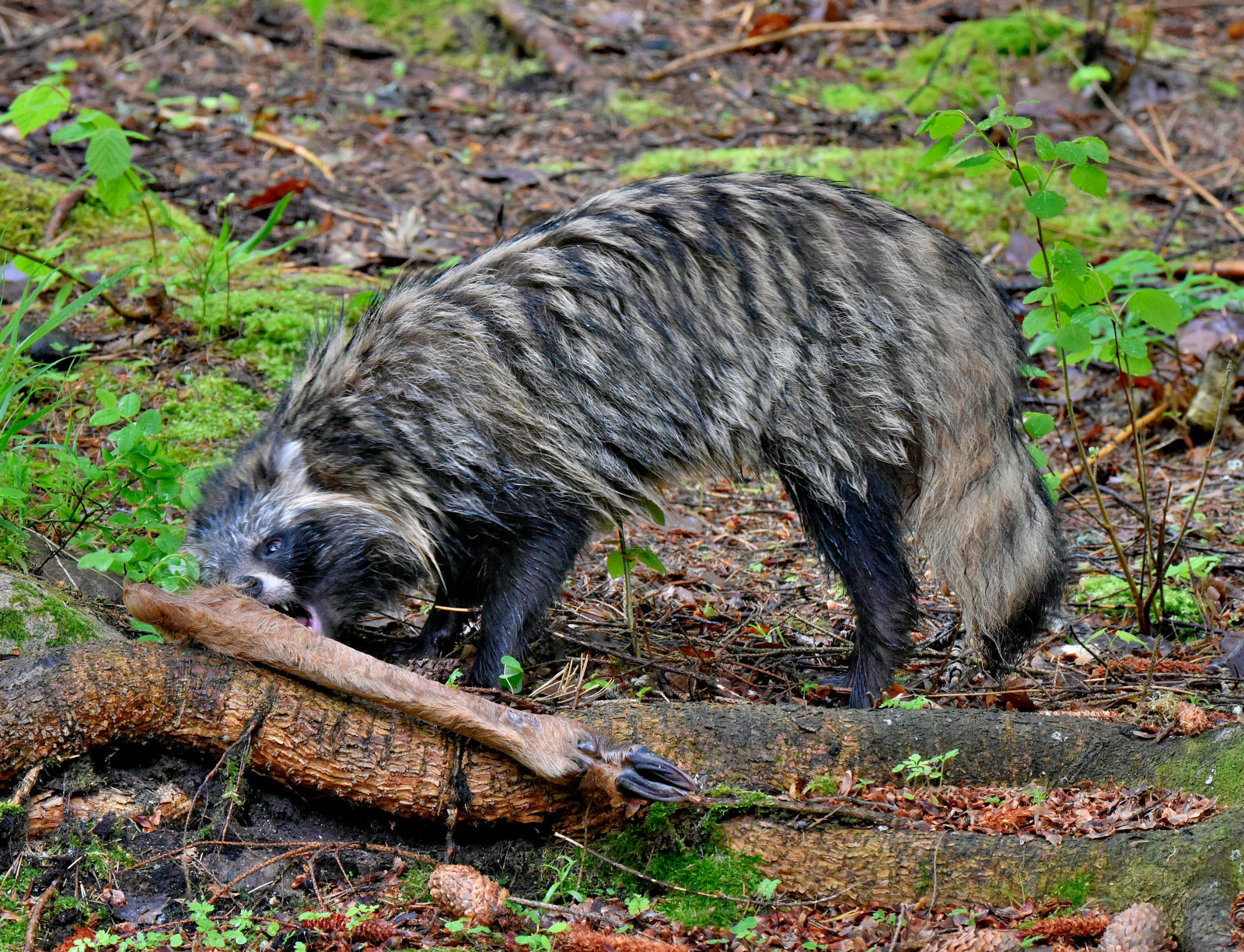 Valokuvaaja: Reijo Juurinen