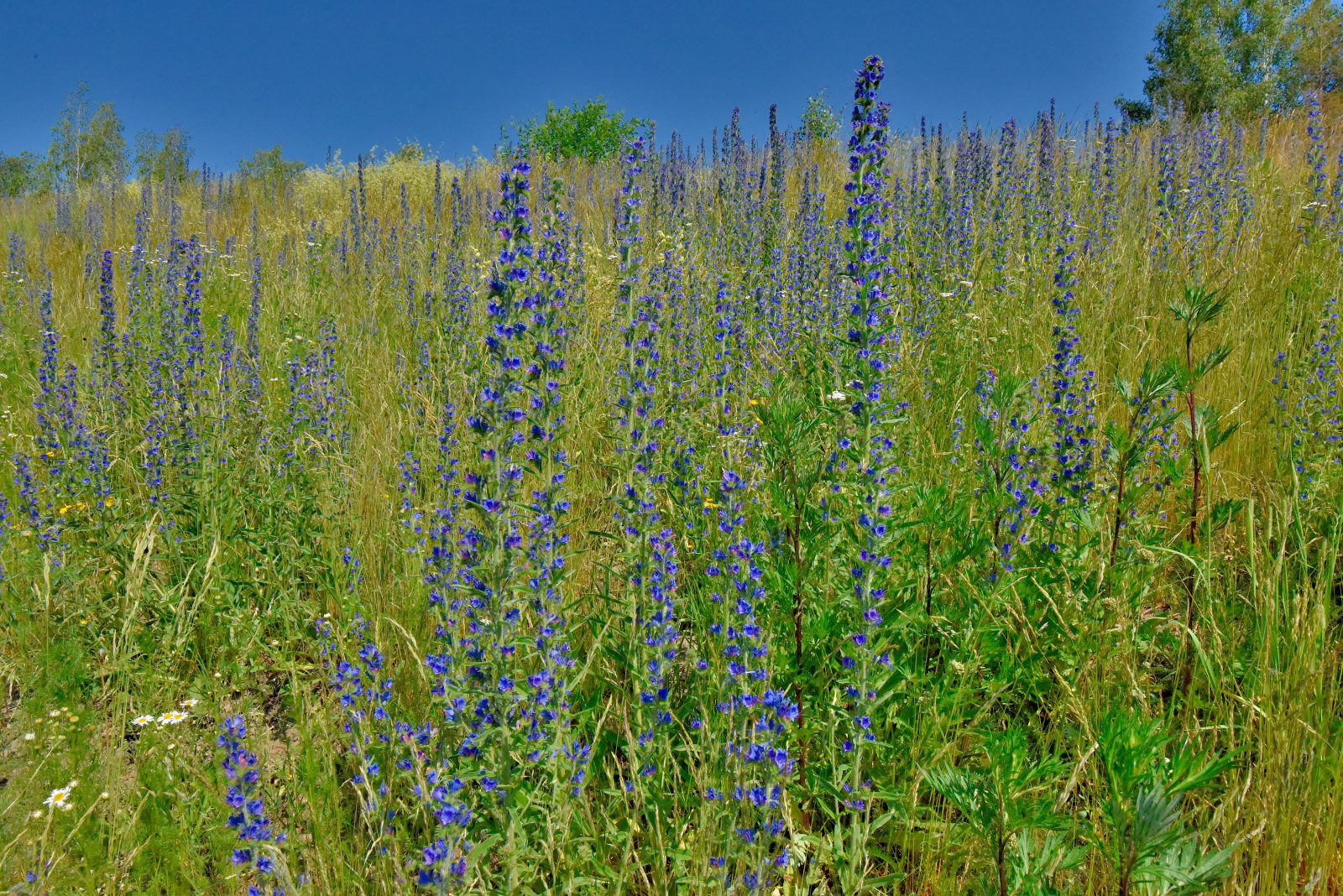 Valokuvaaja: Reijo Juurinen