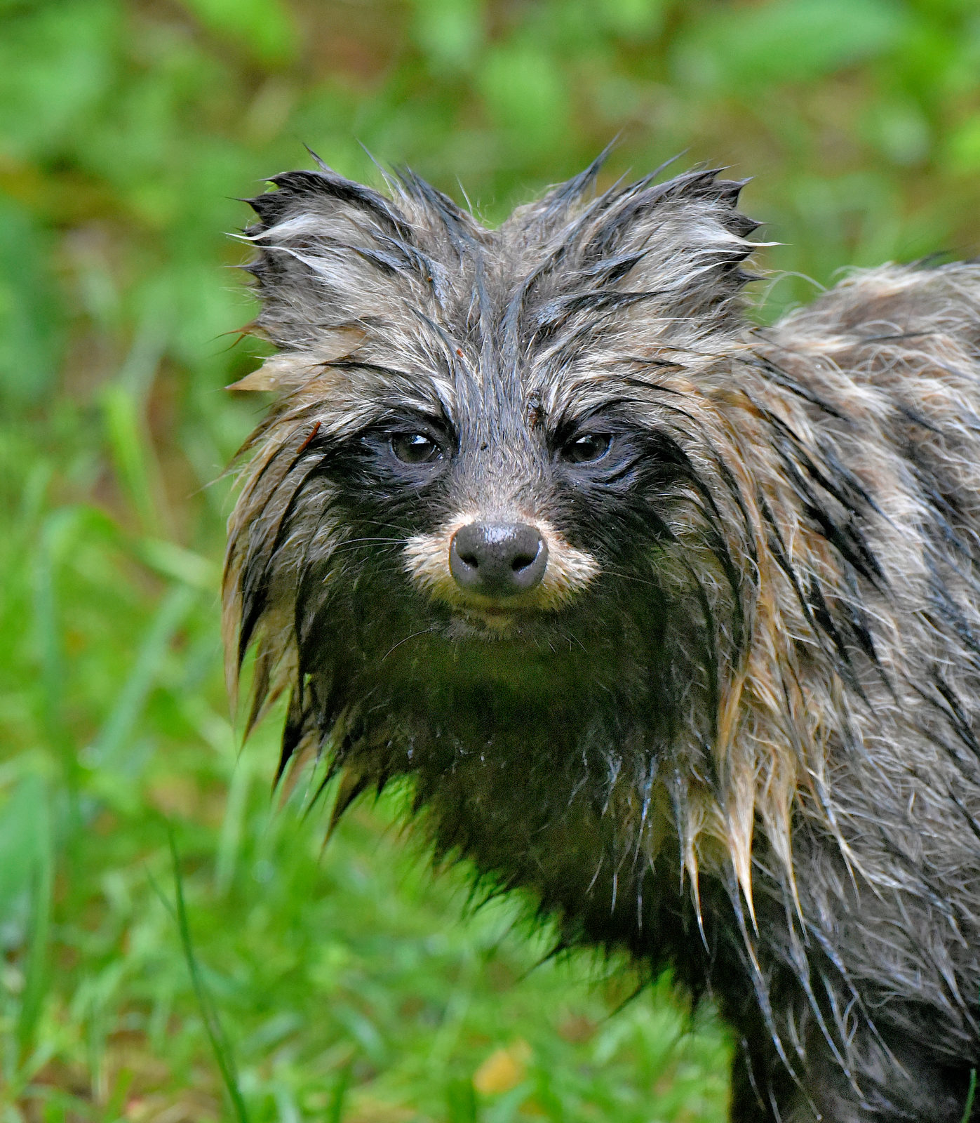 Valokuvaaja: Reijo Juurinen