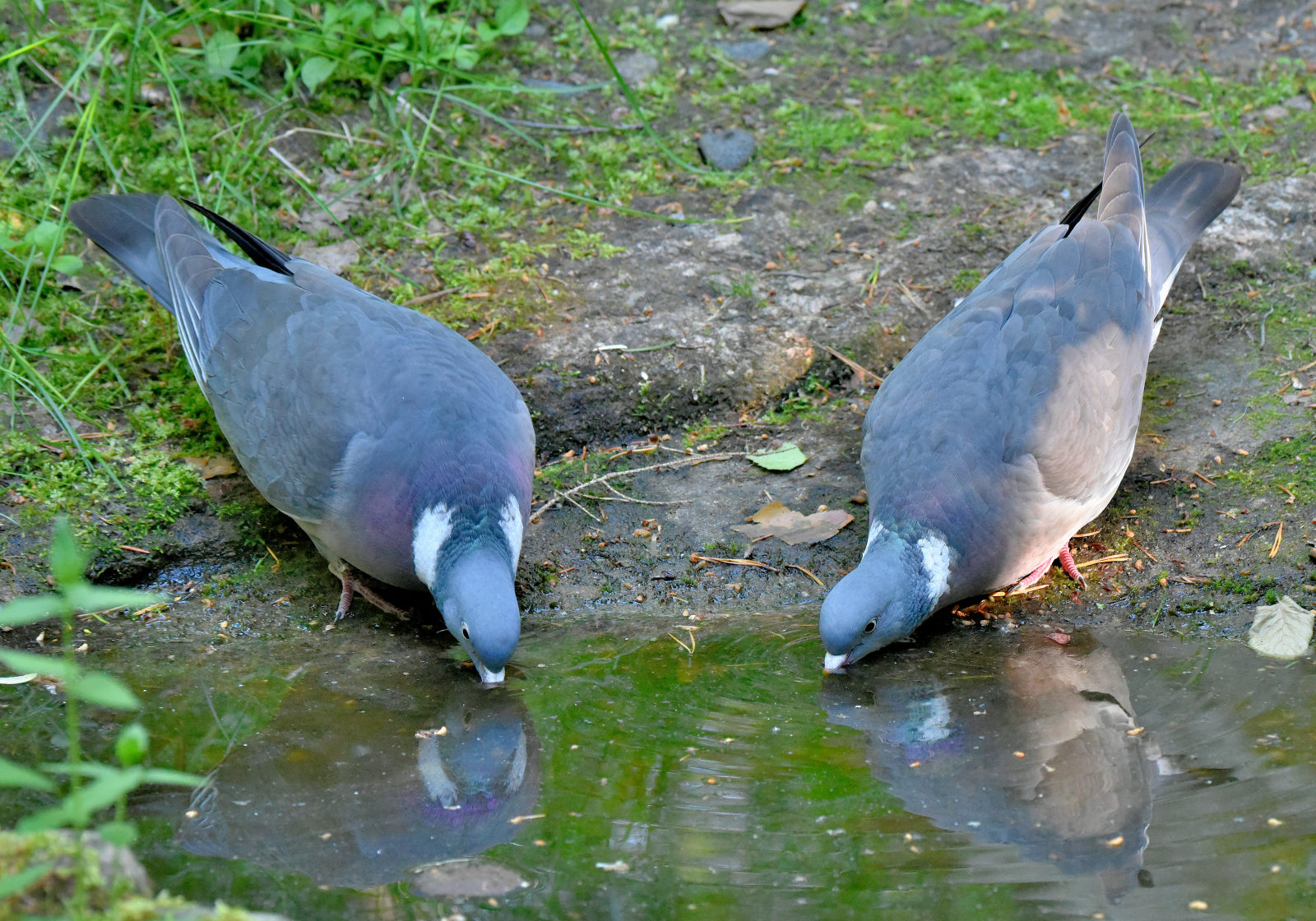 Valokuvaaja: Reijo Juurinen
