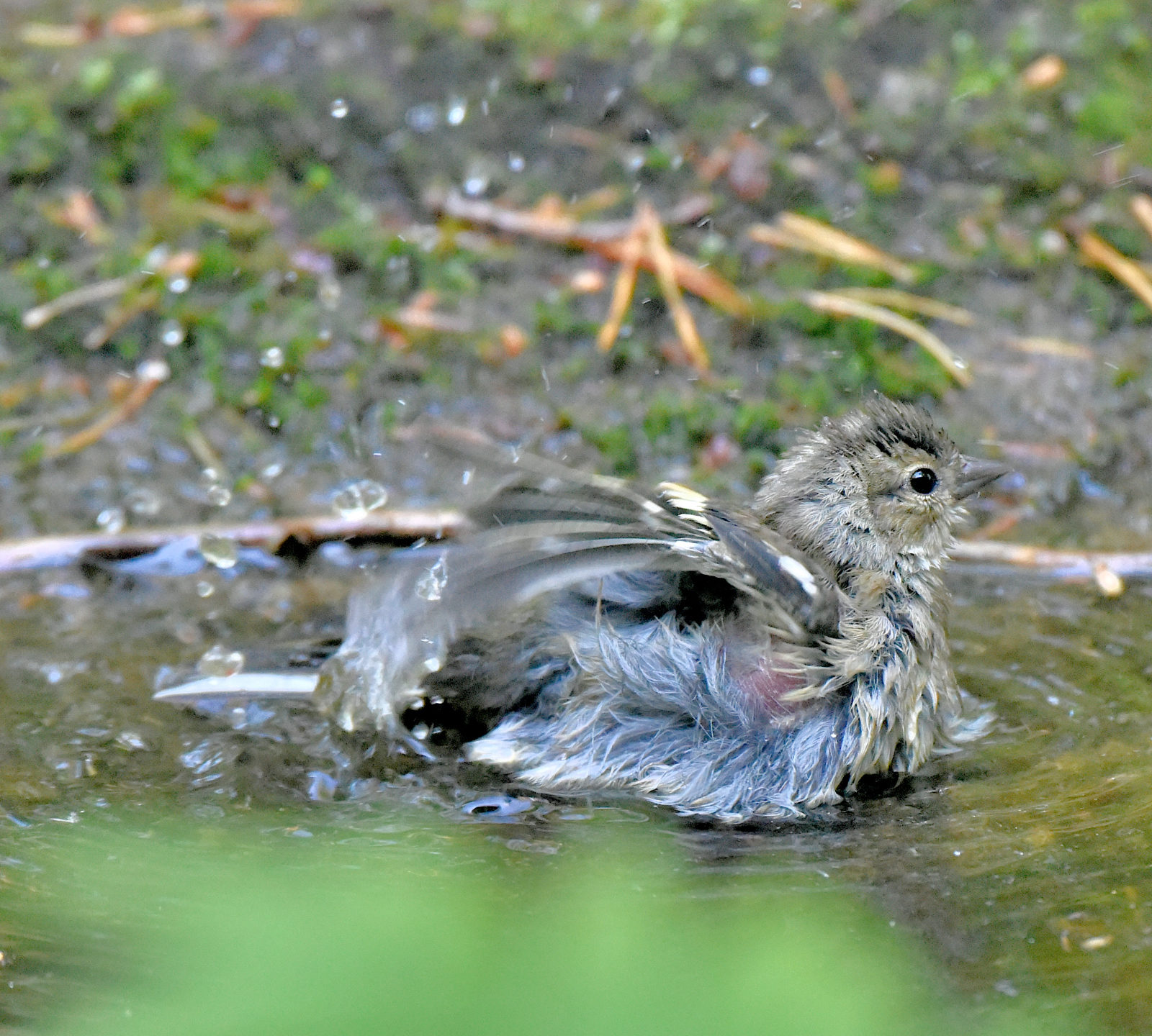 Valokuvaaja: Reijo Juurinen