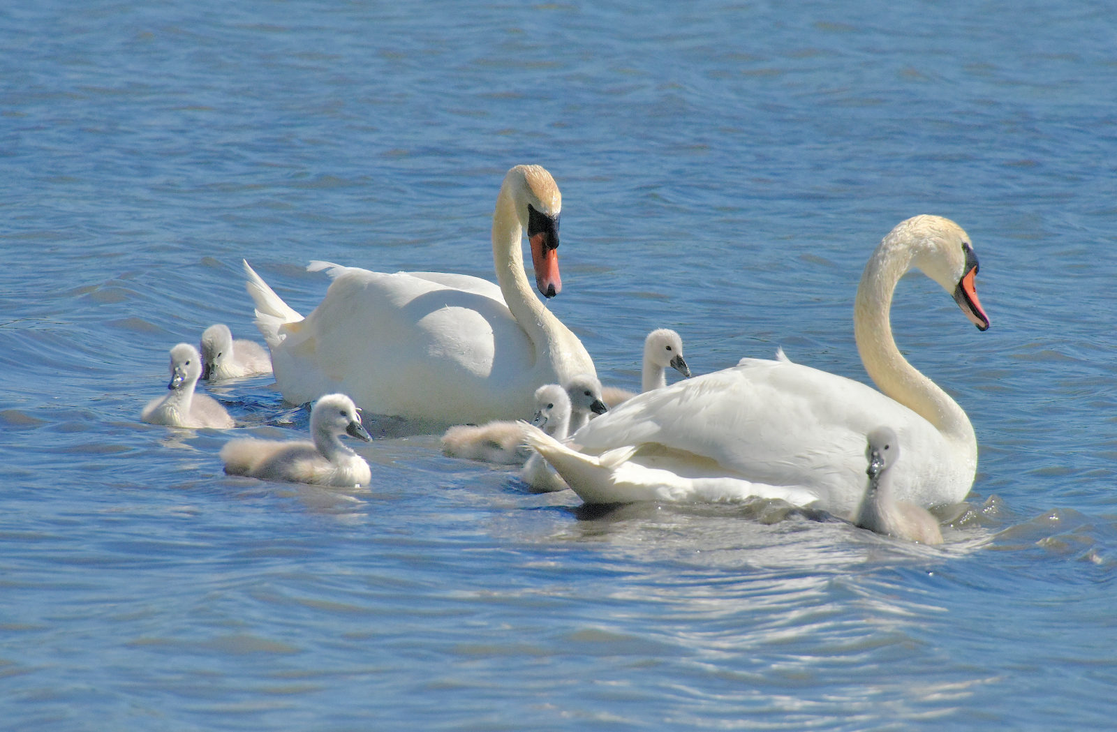 Valokuvaaja: Reijo Juurinen