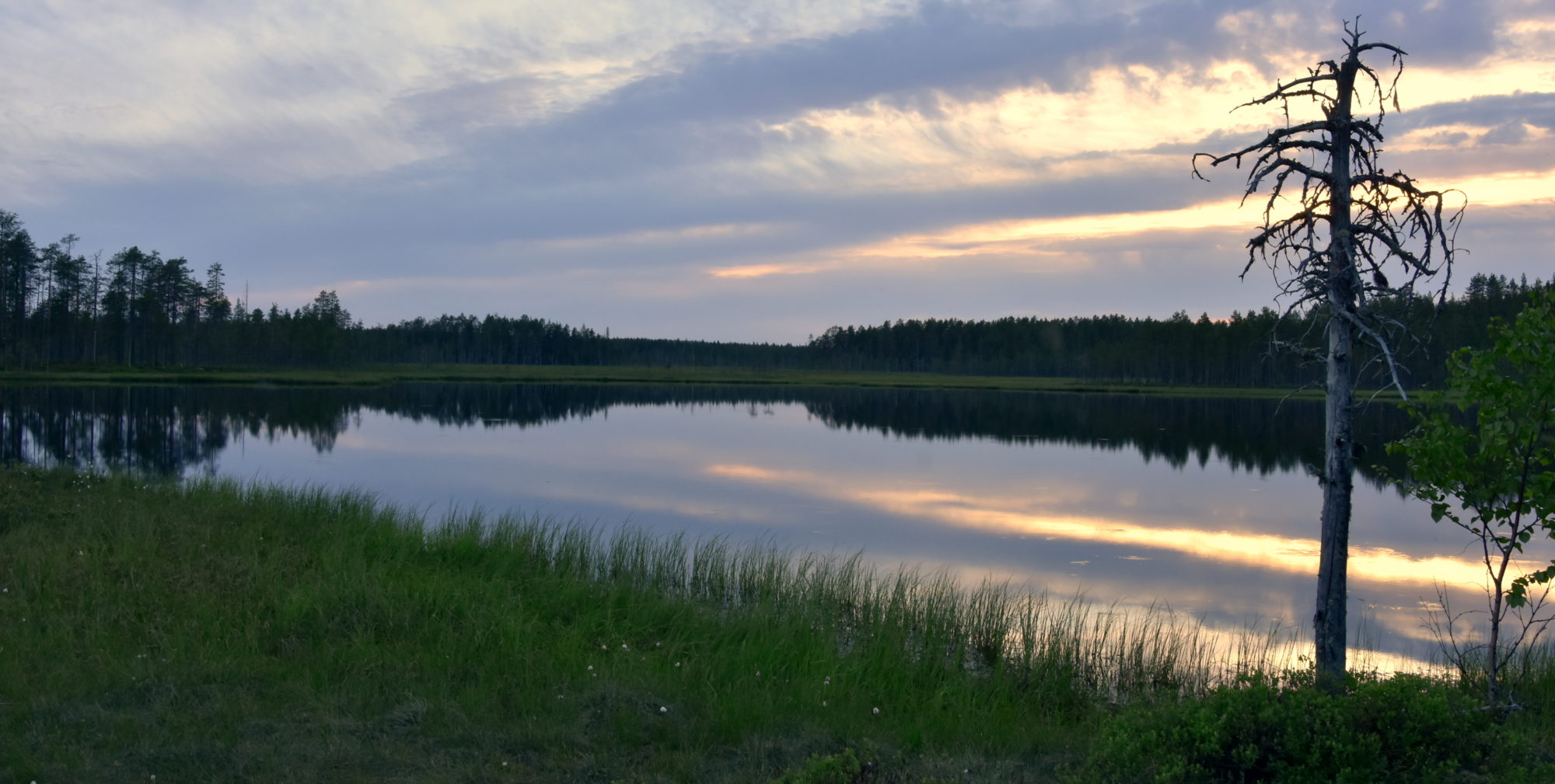 Valokuvaaja: Erkki Timonen