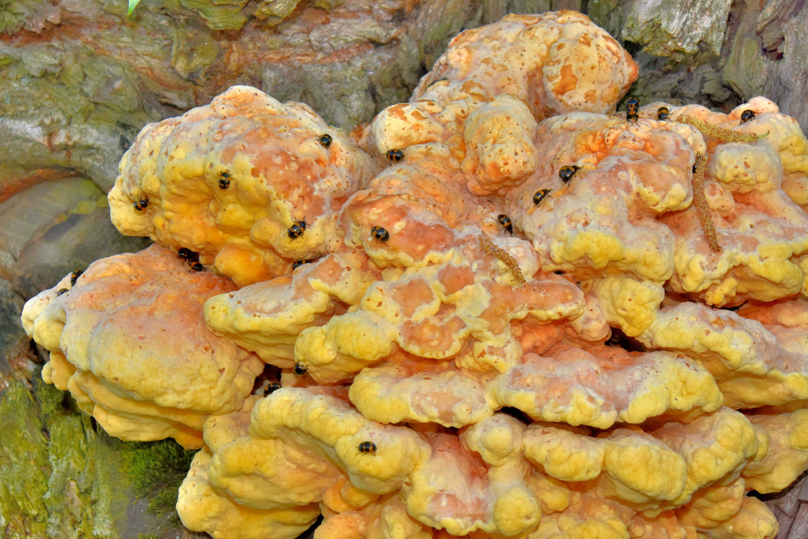 Valokuvaaja: Reijo Juurinen