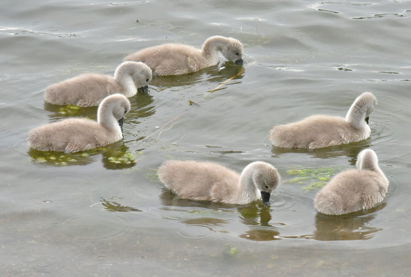 Valokuvaaja: Reijo Juurinen