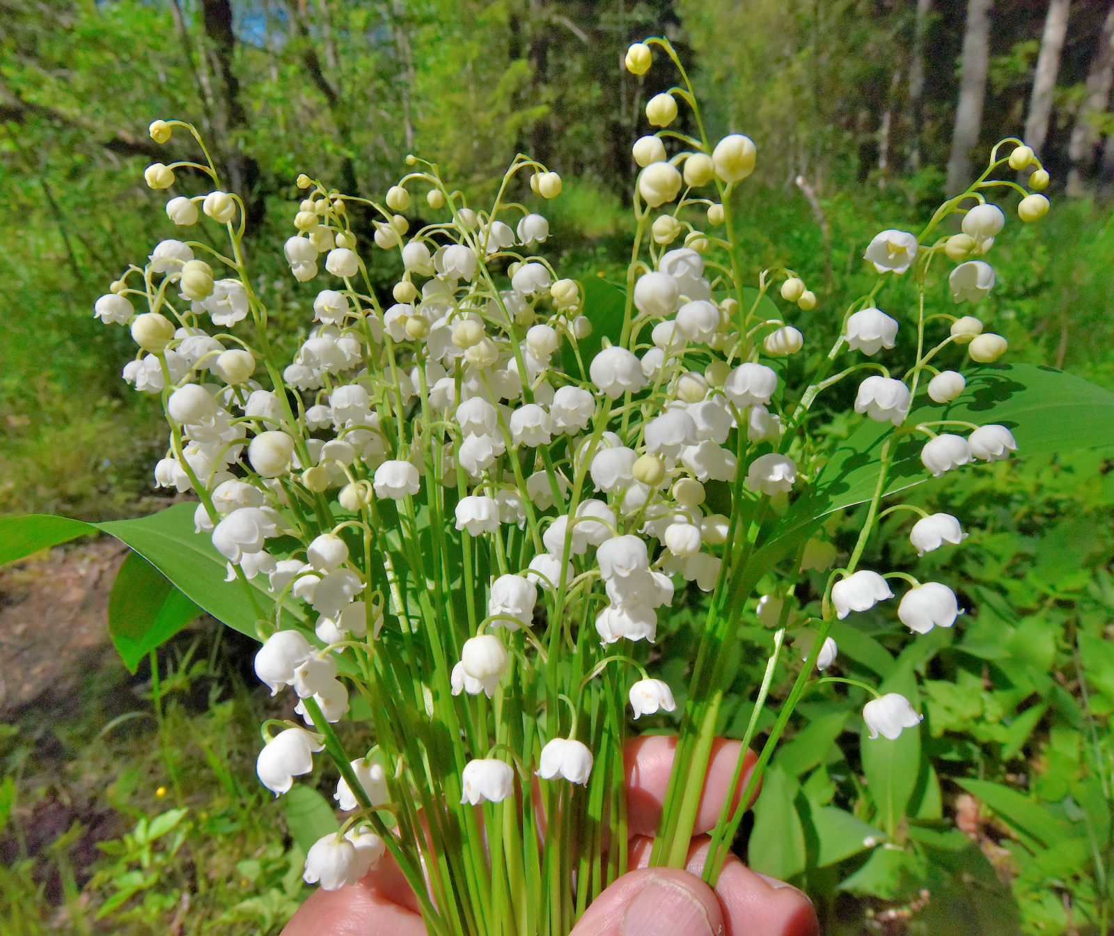 Valokuvaaja: Reijo Juurinen
