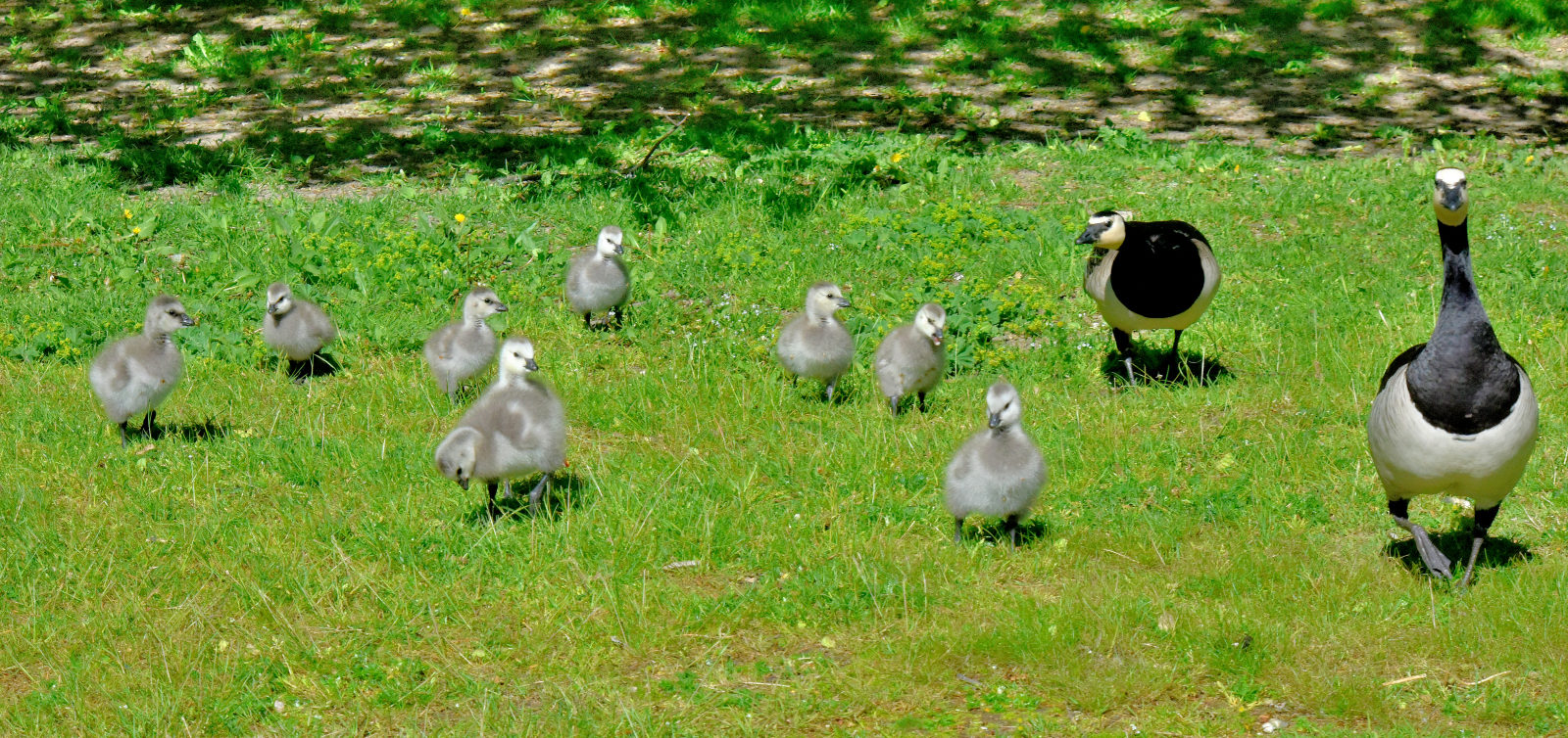 Valokuvaaja: Reijo Juurinen