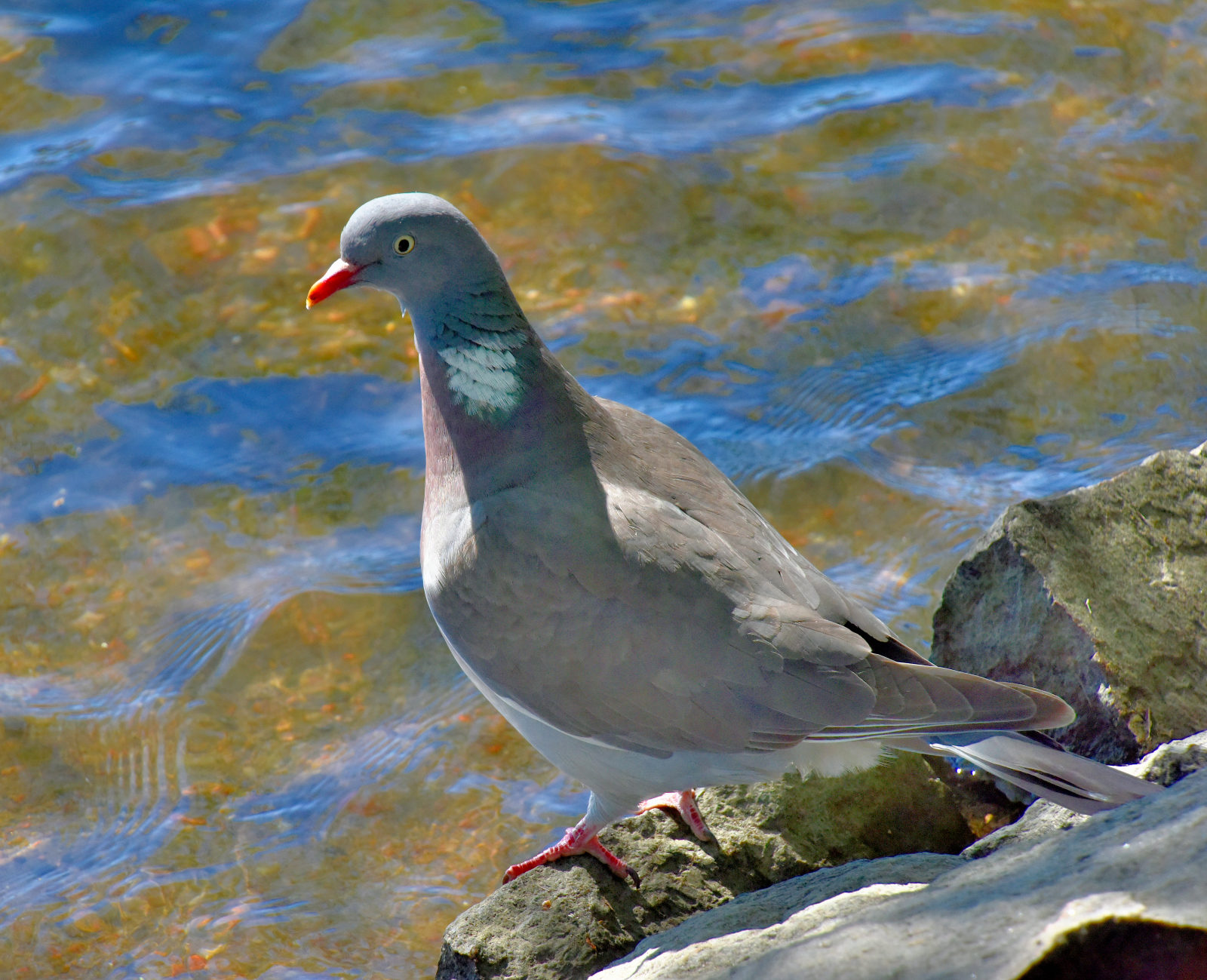 Valokuvaaja: Reijo Juurinen