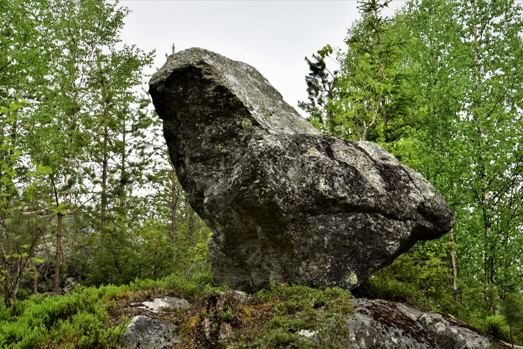 Valokuvaaja: Lahja Toivanen