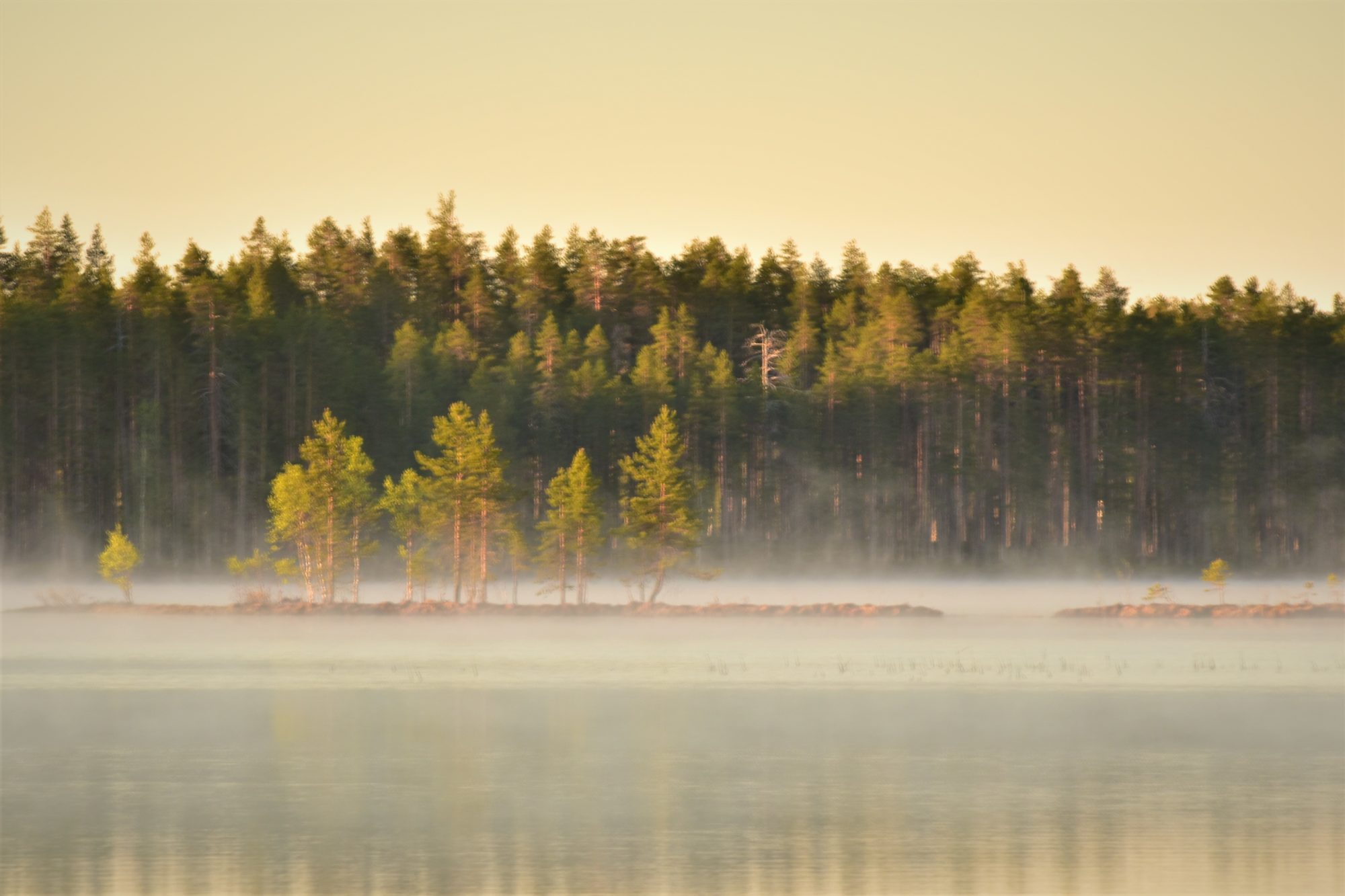 Valokuvaaja: Lahja Toivanen Valokuvaaja: Lahja Toivanen