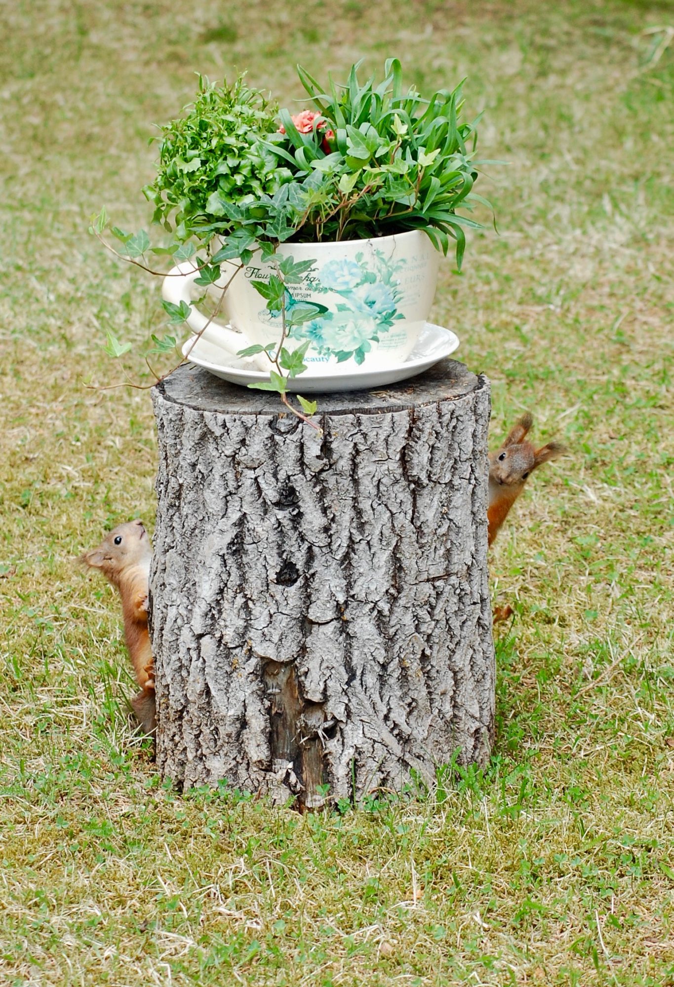 Valokuvaaja: Sinikka Kelhä