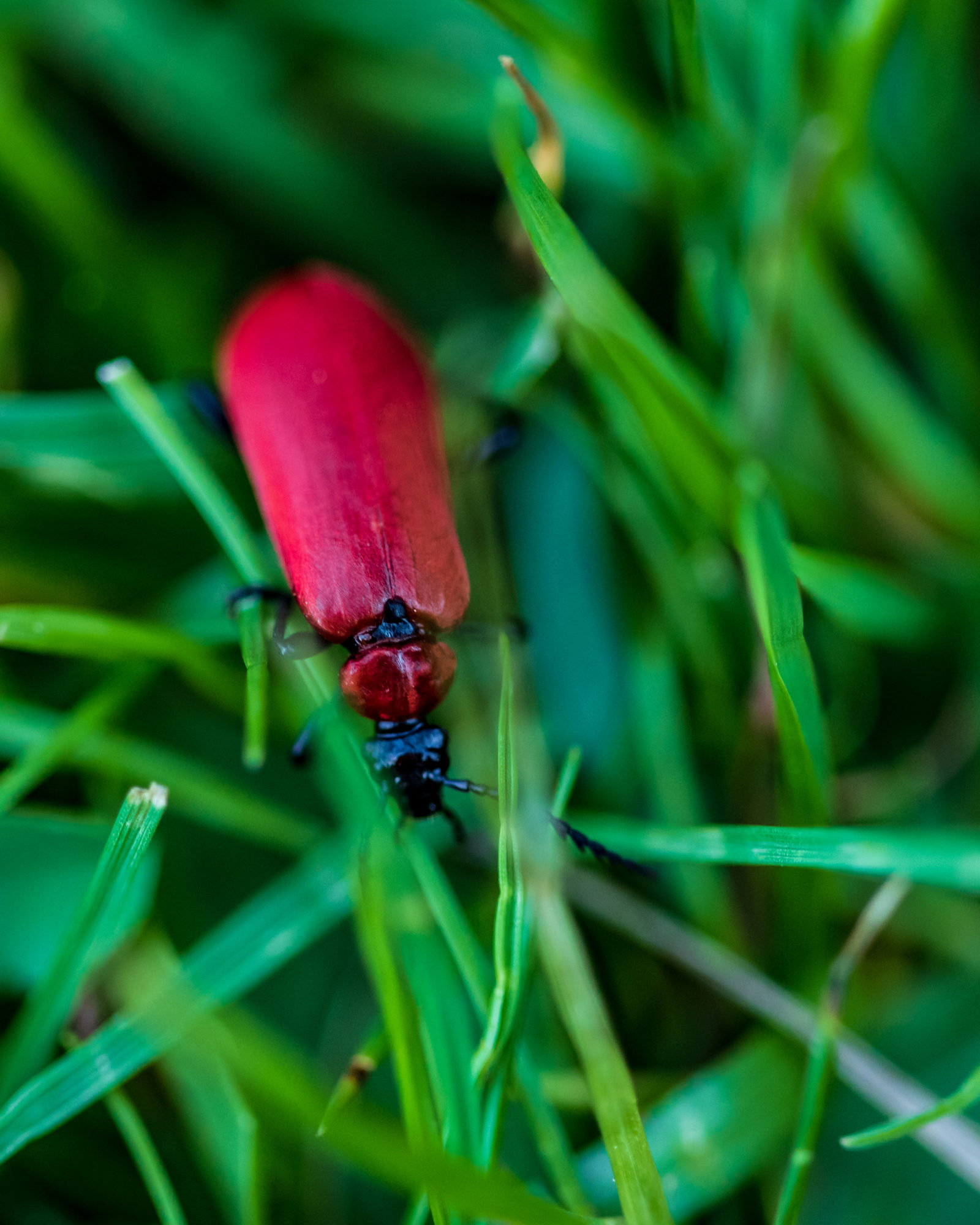Valokuvaaja: Mika Bergman