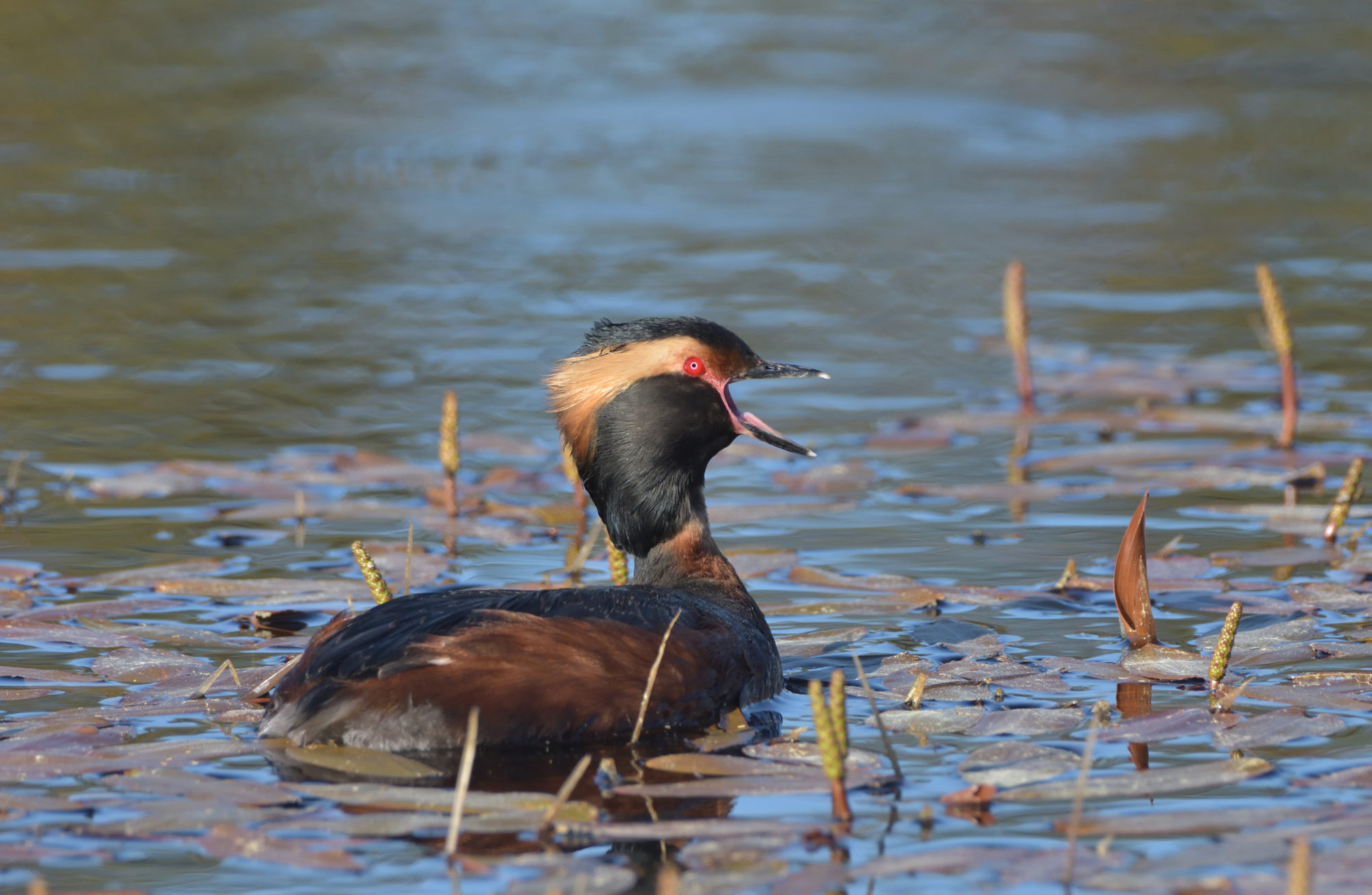 Valokuvaaja: Asko Heikkinen