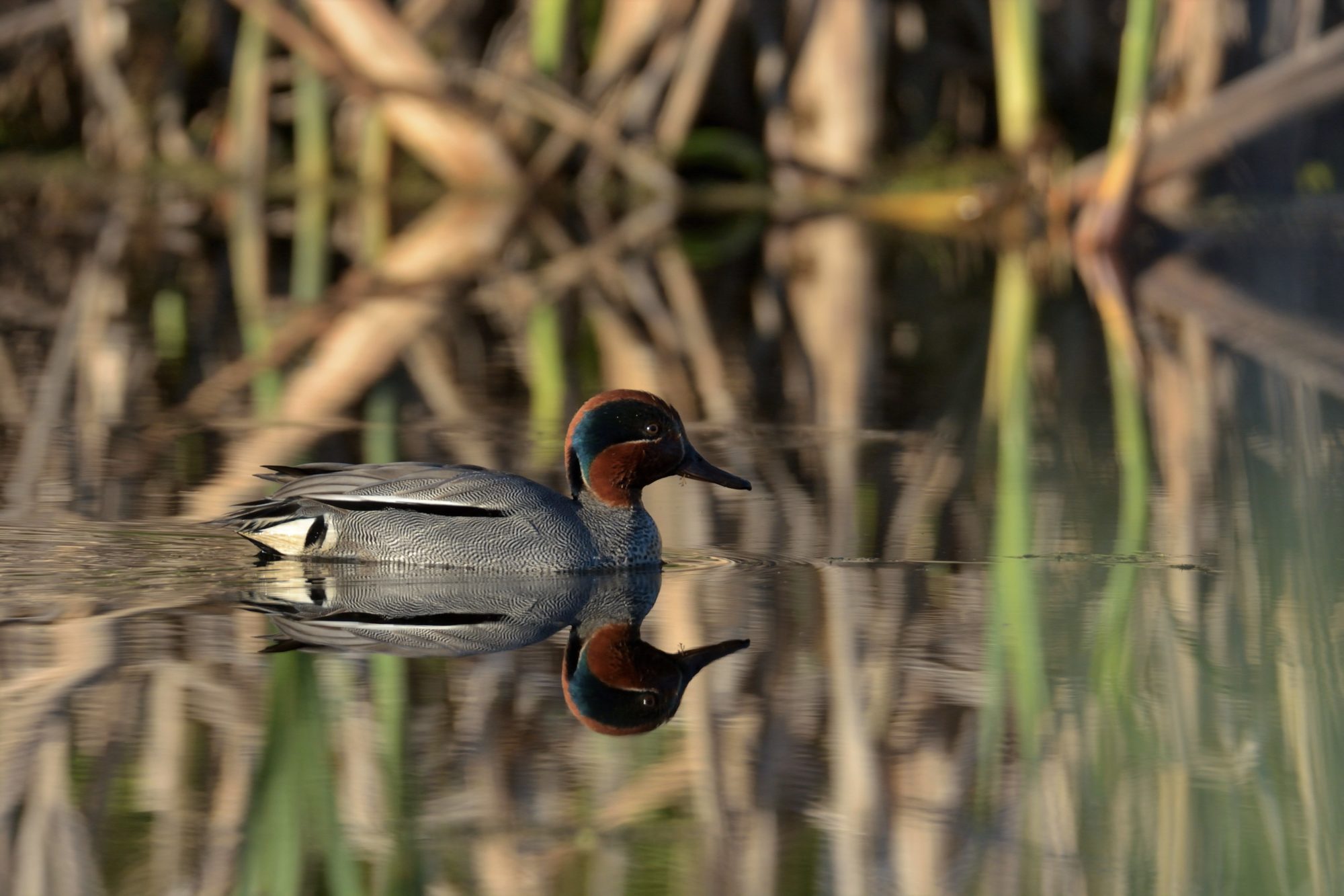 Valokuvaaja: Asko Heikkinen