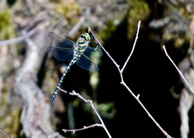 Valokuvaaja: Markku Ranta-Eilola