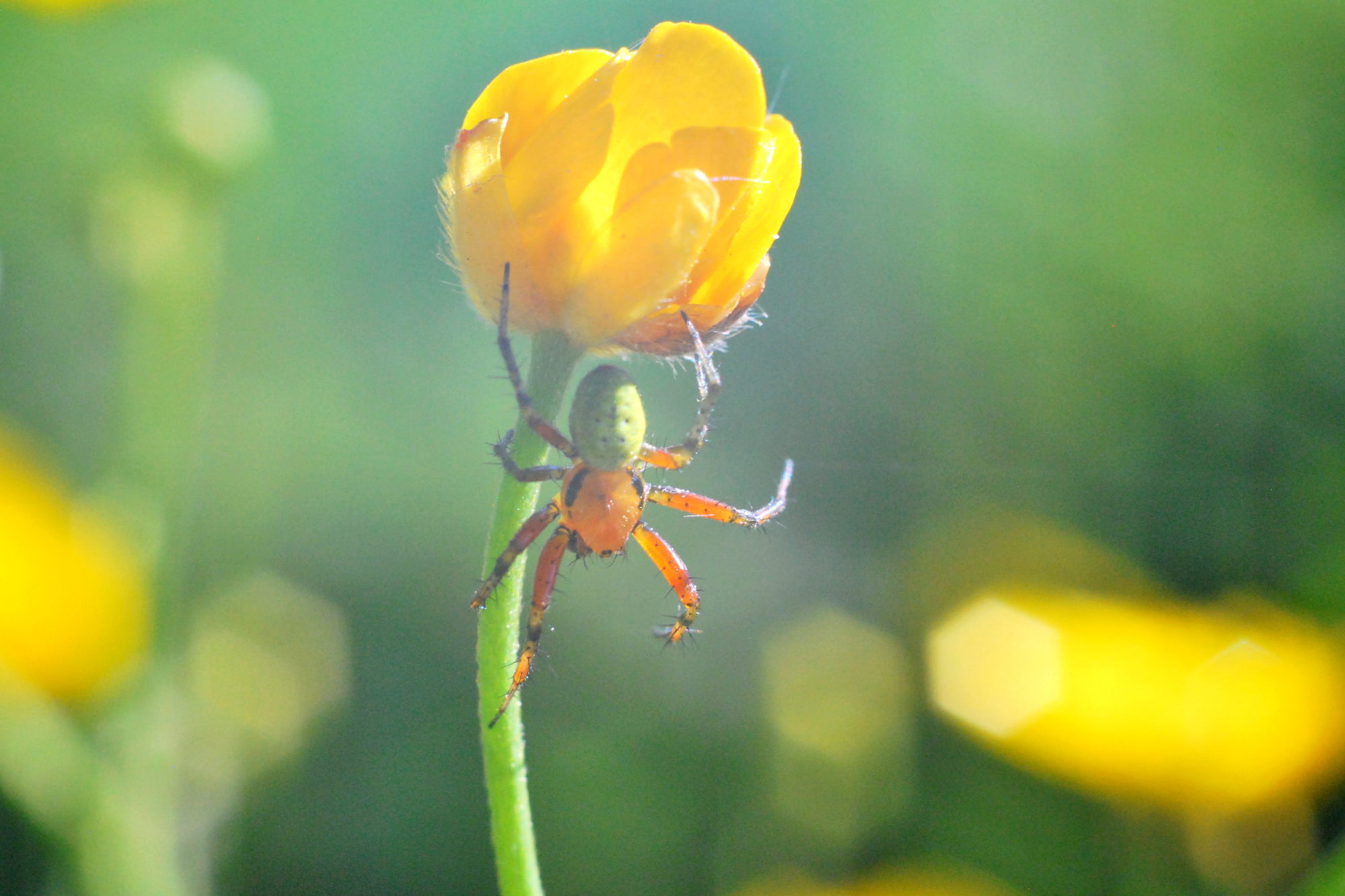 Valokuvaaja: Kaarlo Asikainen Valokuvaaja: Kaarlo Asikainen