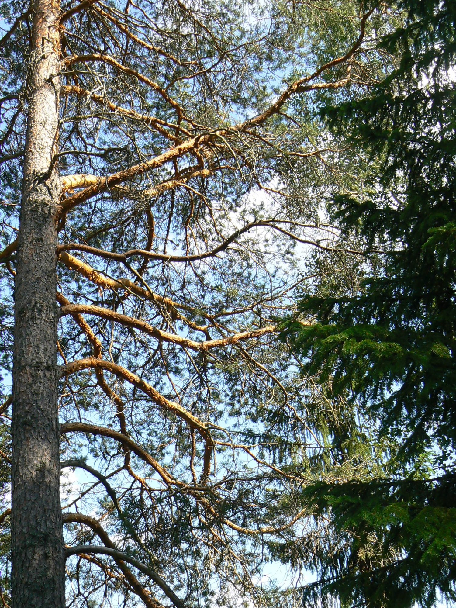 Valokuvaaja: Pekka Heino