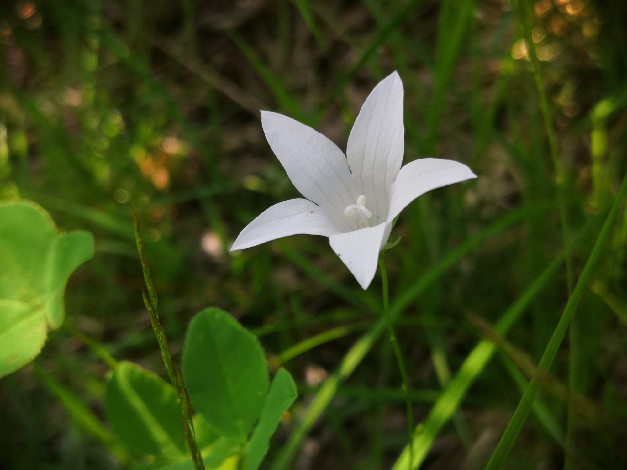 Valokuvaaja: Mari Ahtola