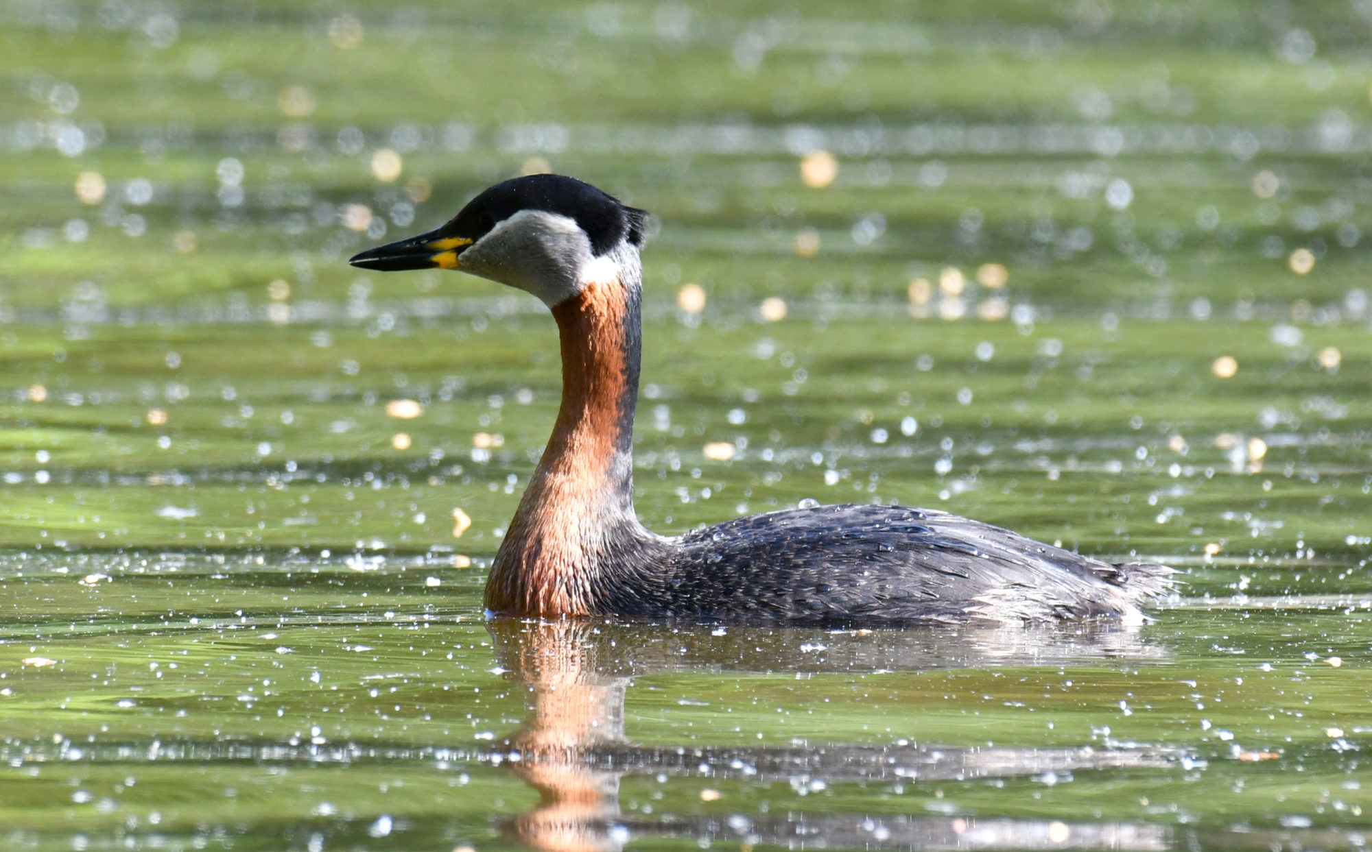 Valokuvaaja: Matti Manninen