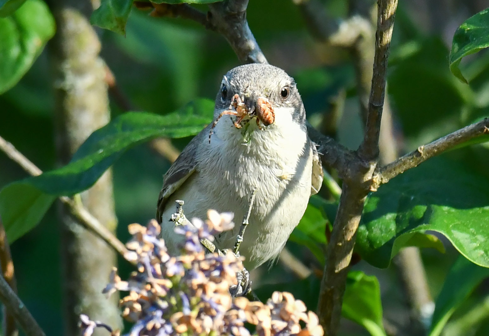 Valokuvaaja: Matti Manninen