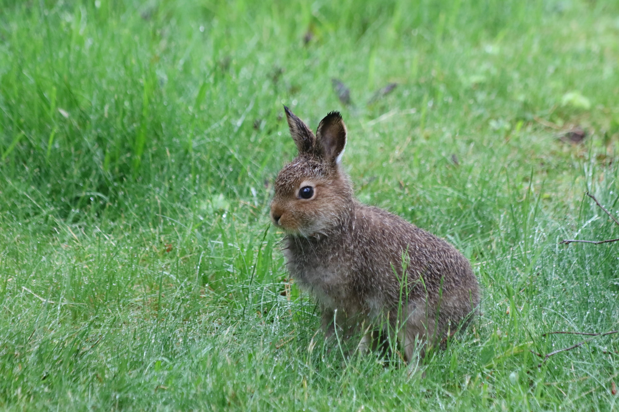Valokuvaaja: Hannu. Rasiranta