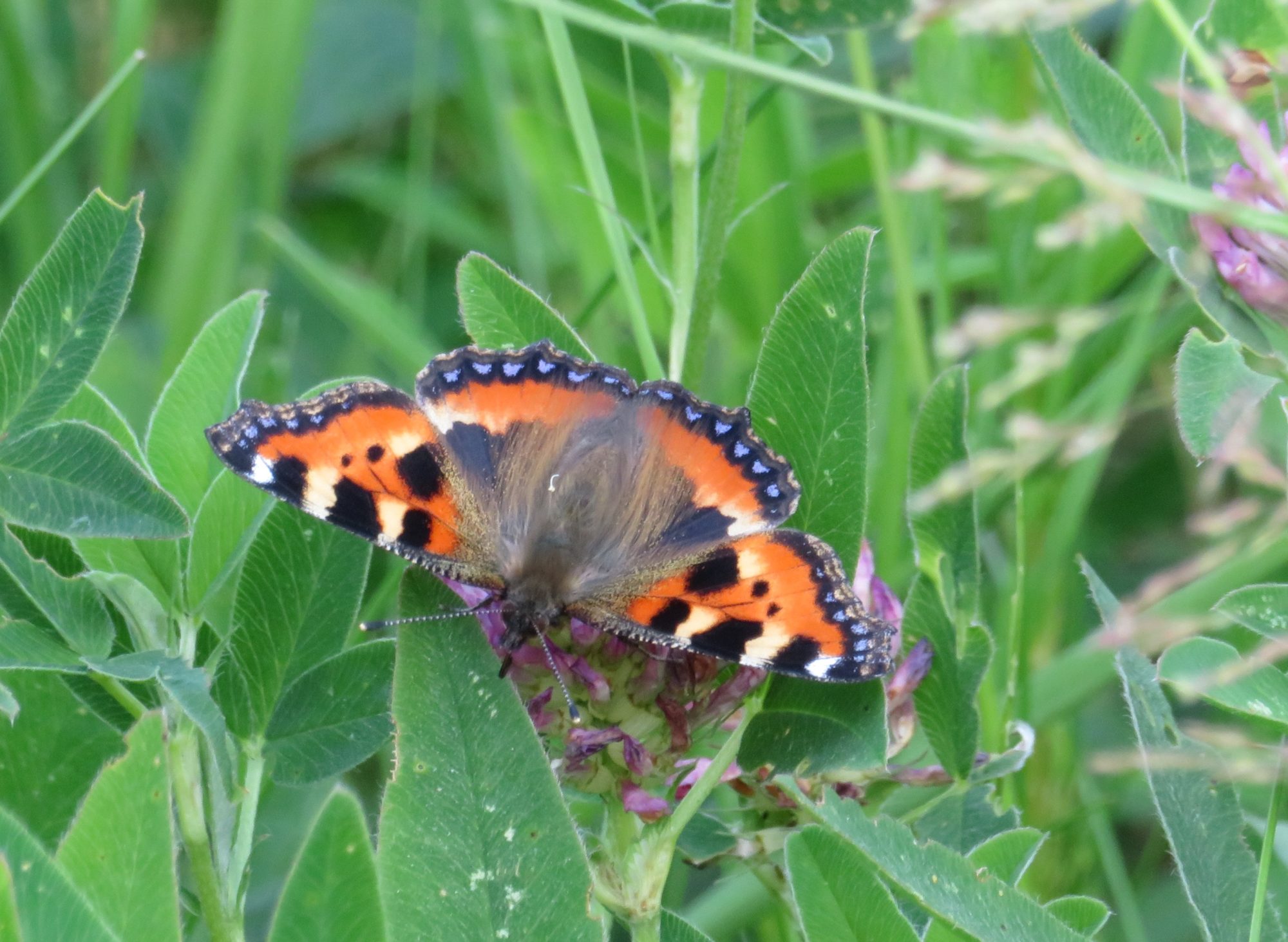 Valokuvaaja: Mari Ahtola
