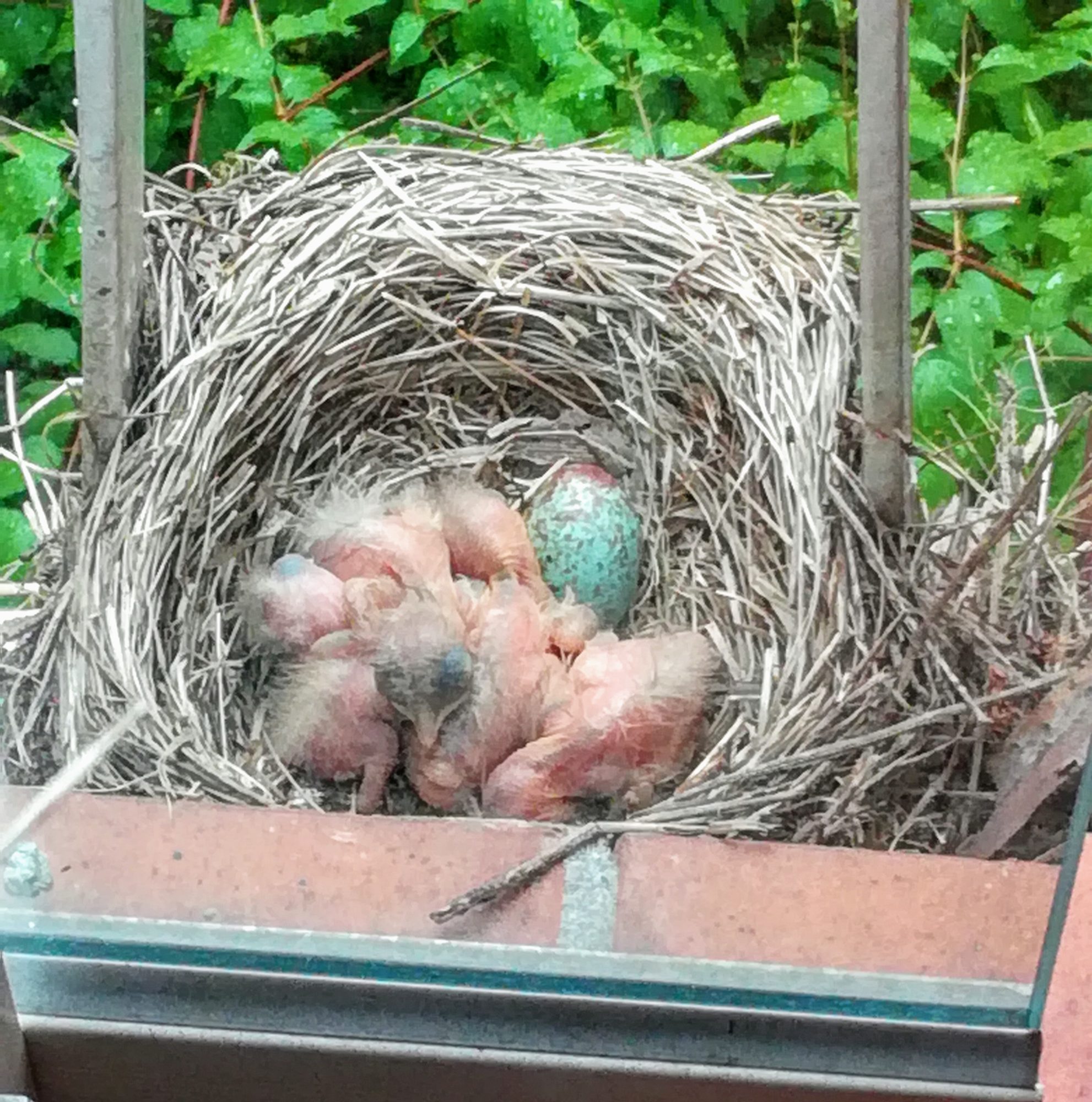 Valokuvaaja: Marketta Kokko