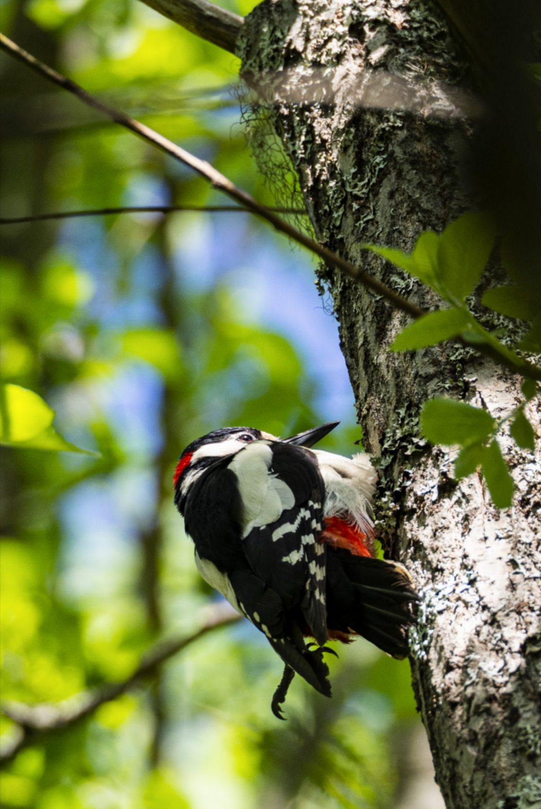Valokuvaaja: Satu Lihr Valokuvaaja: Satu Lihr