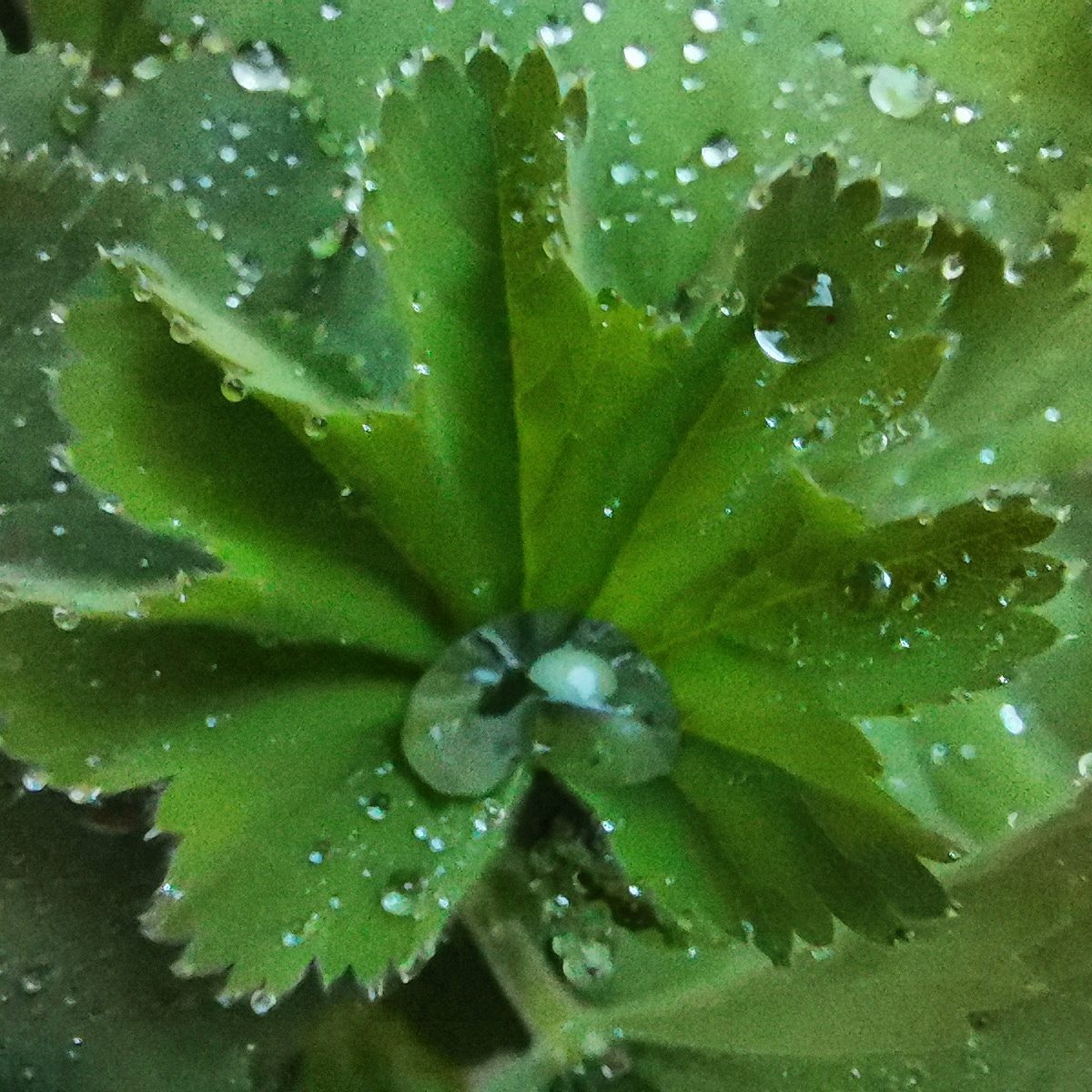 Valokuvaaja: Tapio Keinonen