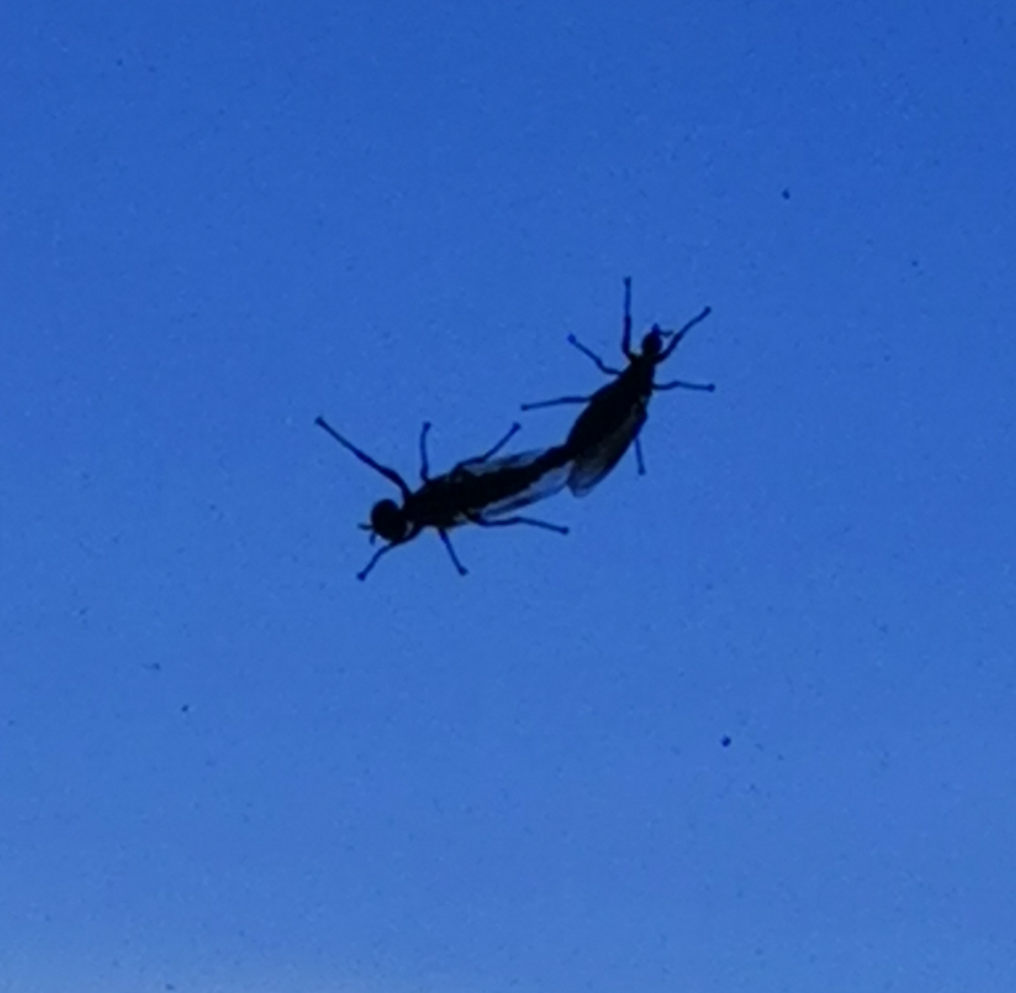 Valokuvaaja: Aila Vuopaja