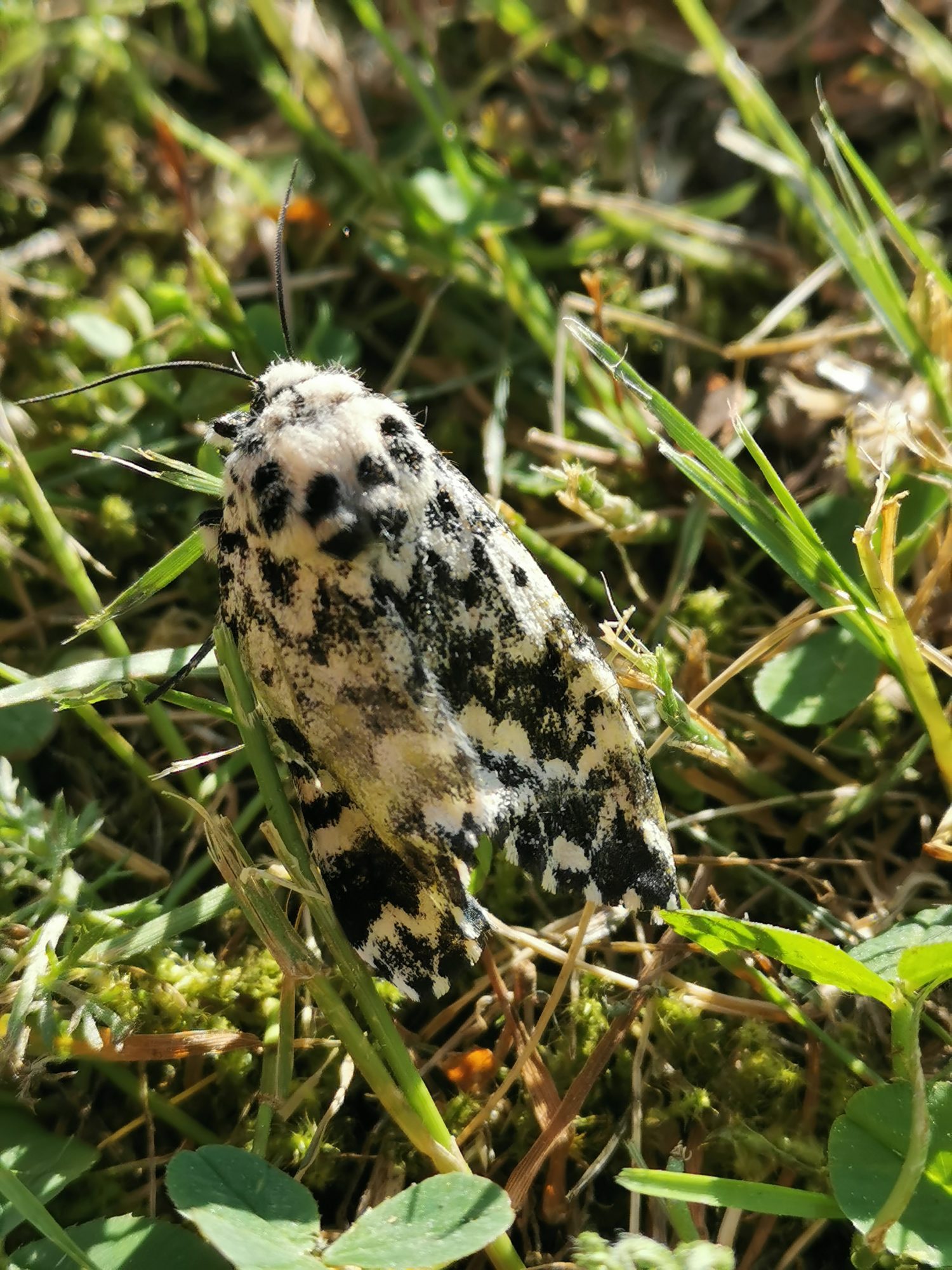 Valokuvaaja: Kaija Hurskainen