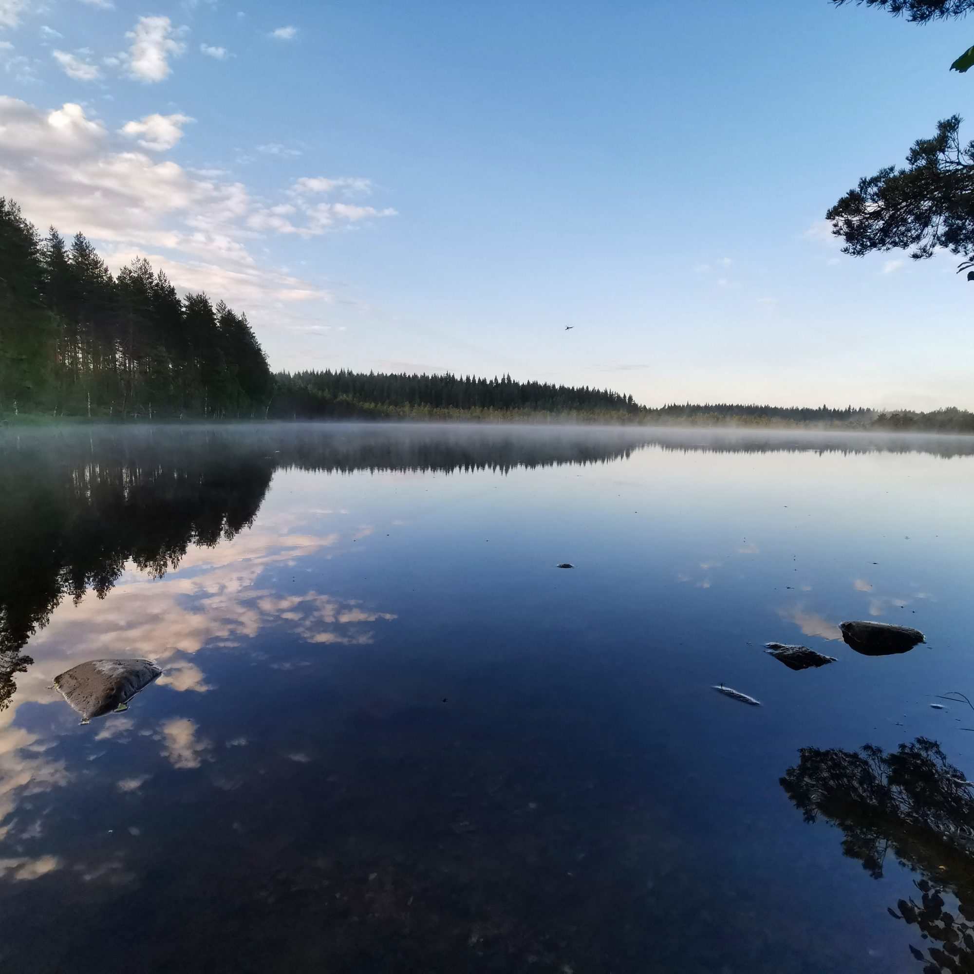 Valokuvaaja: Tapio Keinonen