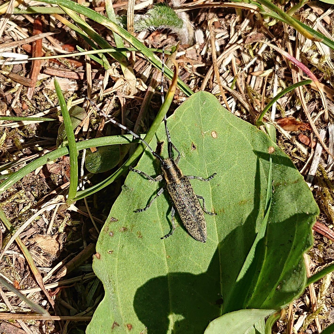 Valokuvaaja: Liisa Valli