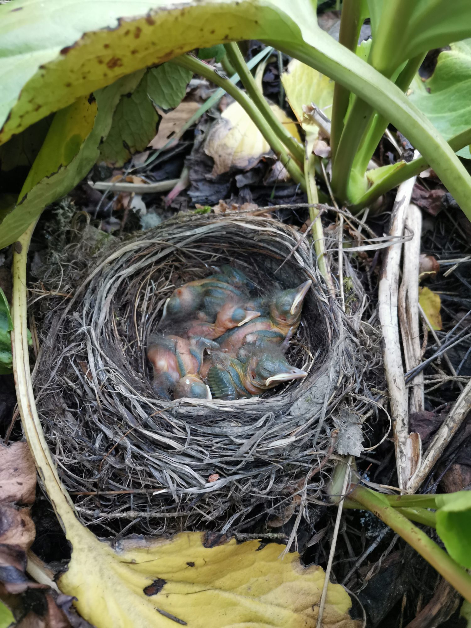 Valokuvaaja: Tiia Vihervuori