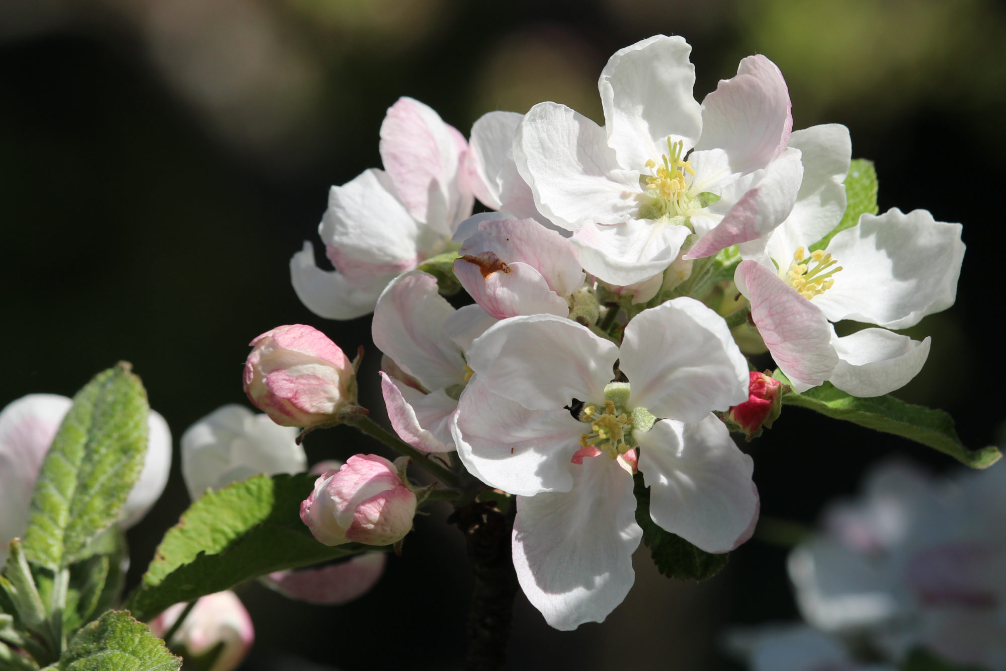 Valokuvaaja: Kirsi-Marja Joenpolvi