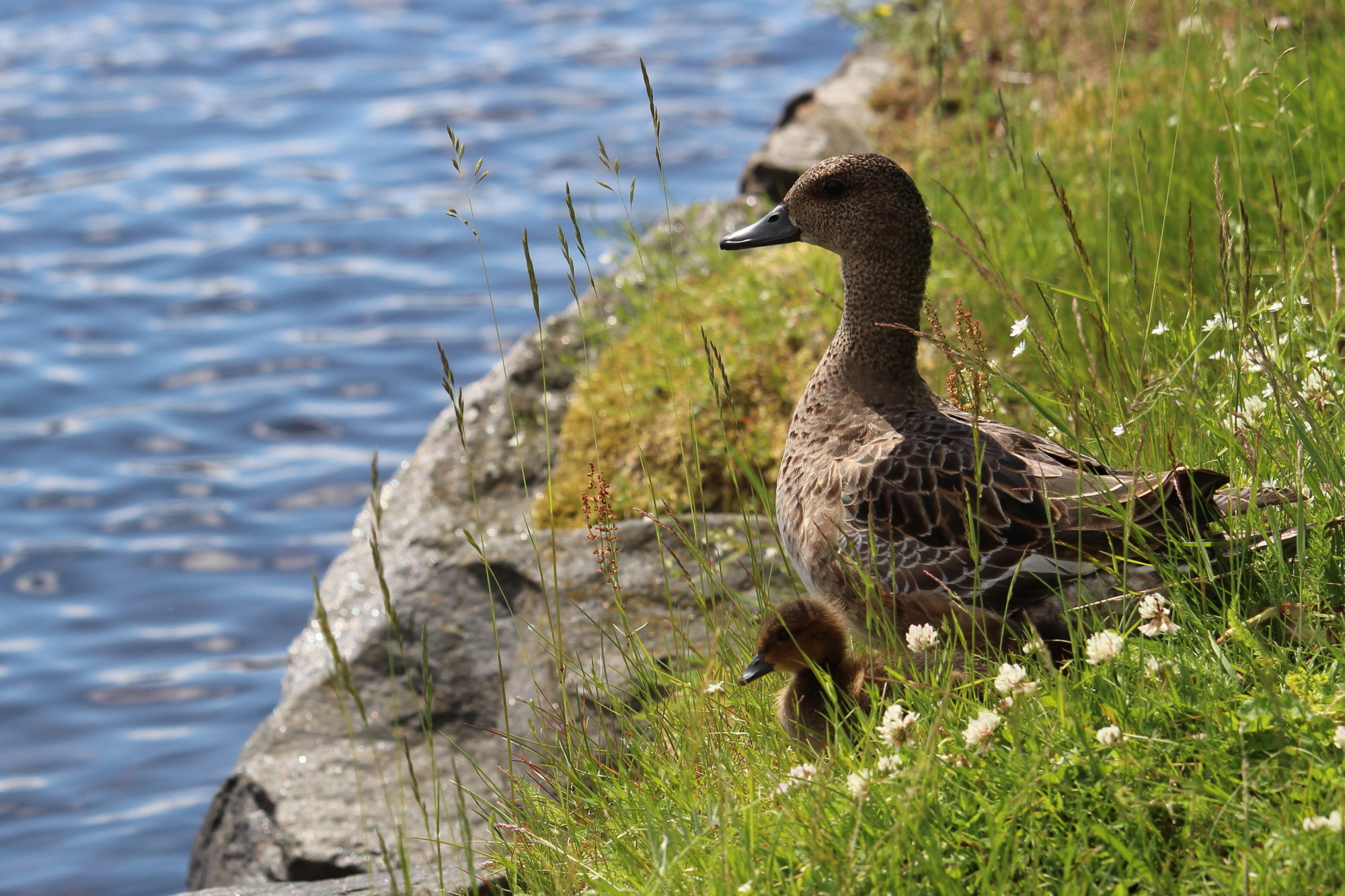 Valokuvaaja: Kirsi-Marja Joenpolvi