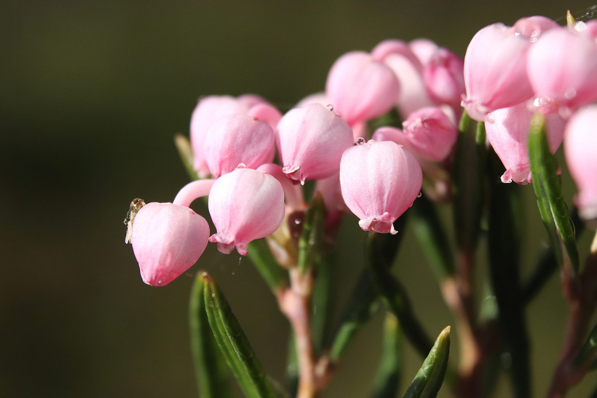 Valokuvaaja: Irja Lehtinen